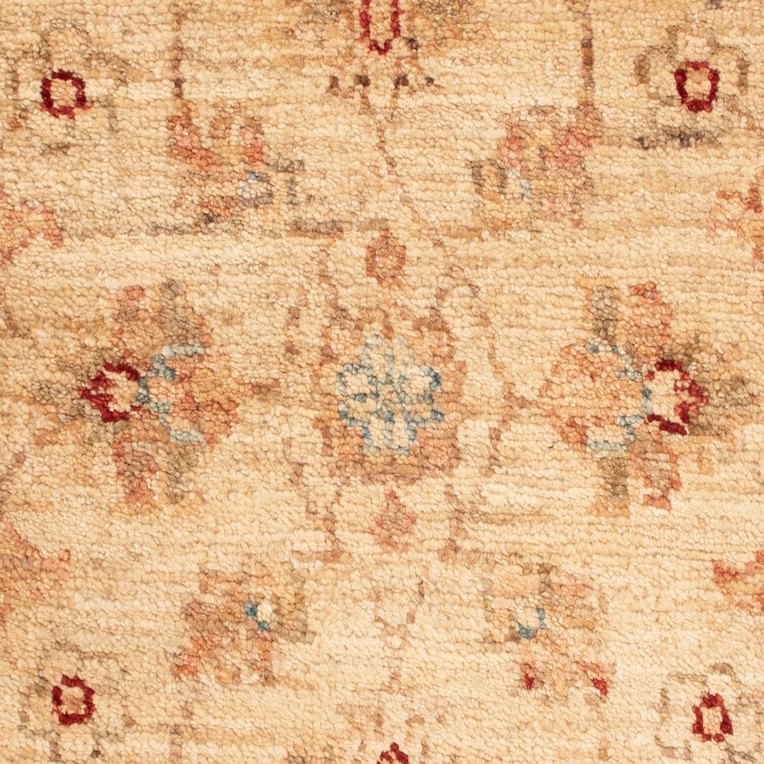 Tappeto Ziegler - 74 x 50 cm - beige