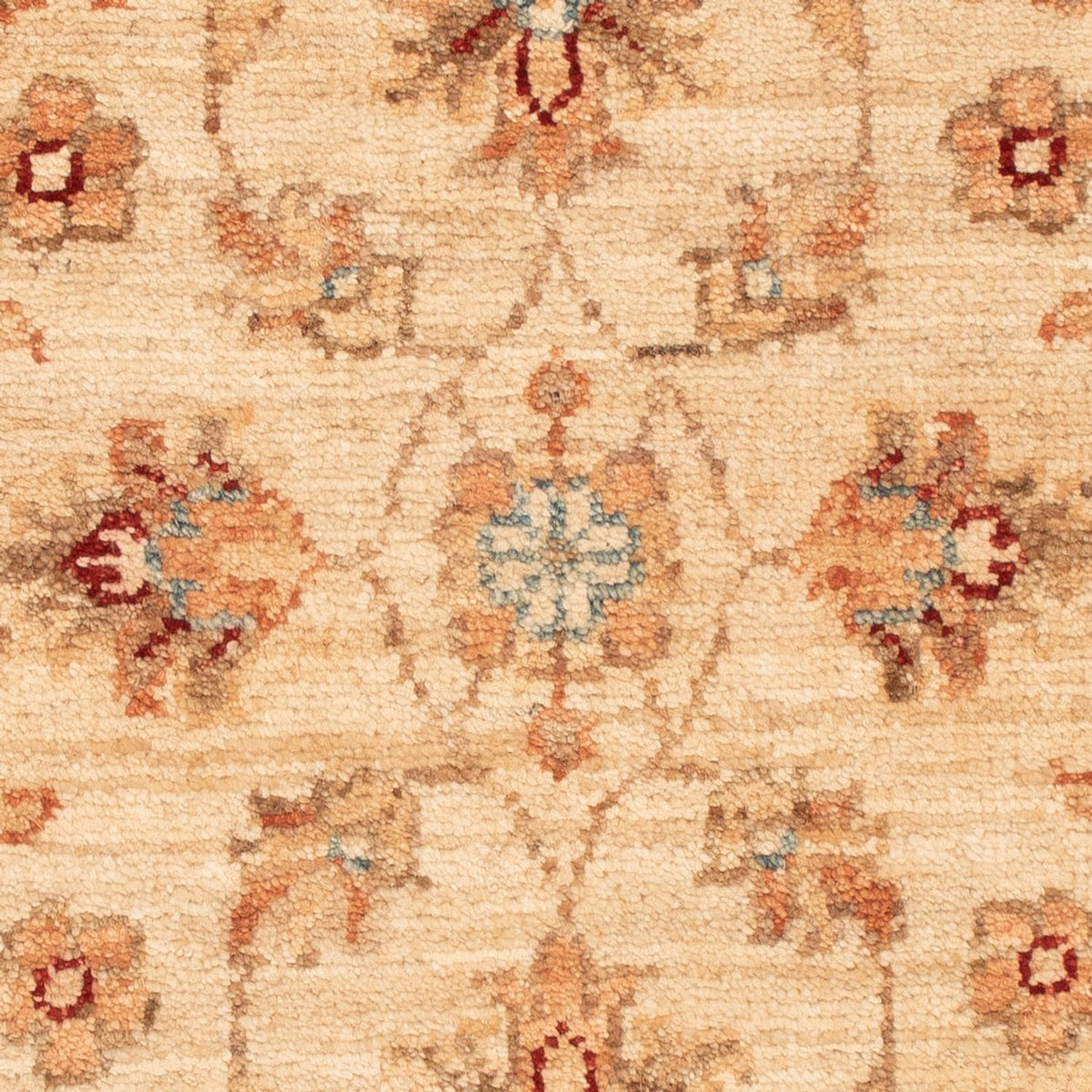 Tappeto Ziegler - 70 x 50 cm - beige