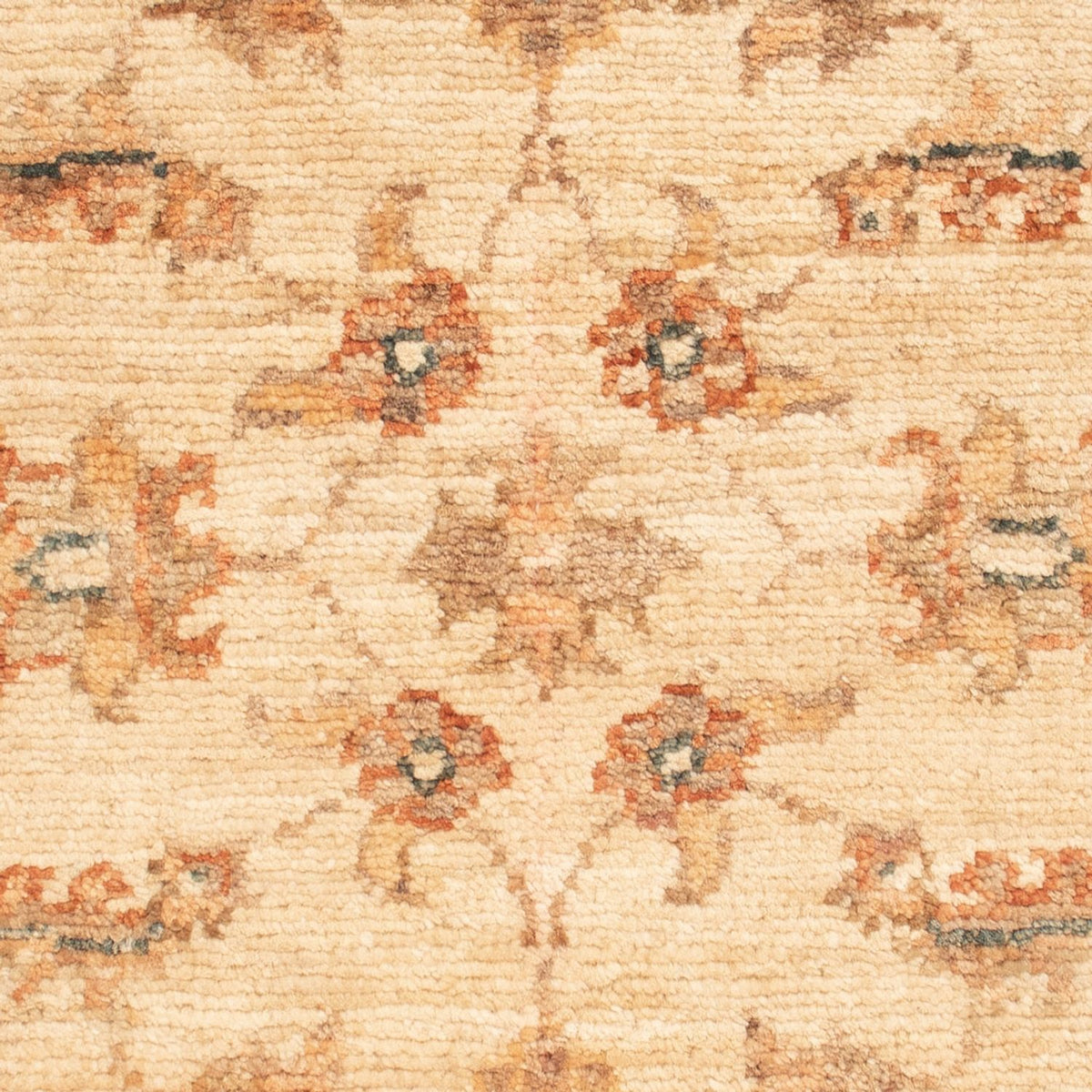 Tappeto Ziegler - 67 x 50 cm - beige