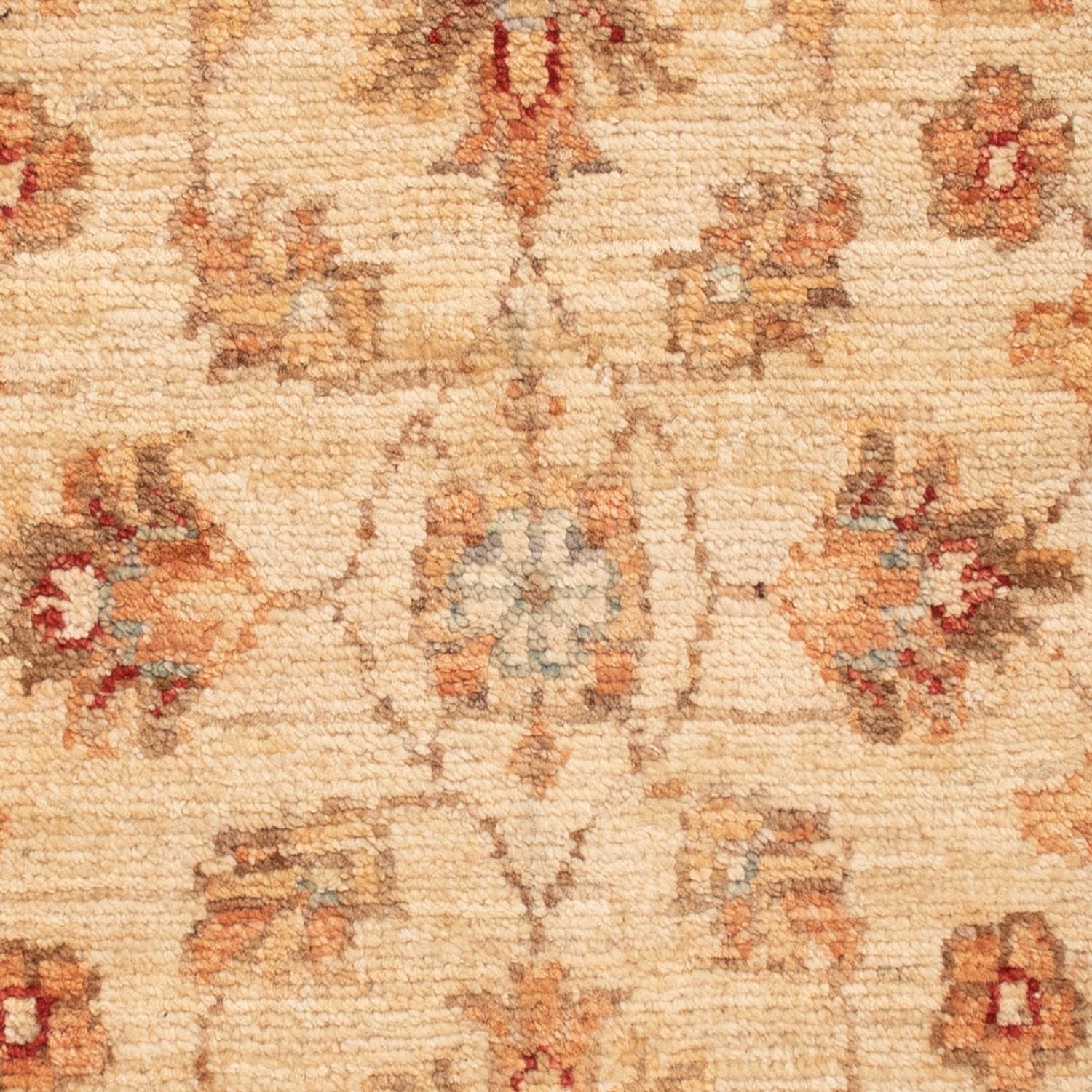 Tappeto Ziegler - 71 x 49 cm - beige