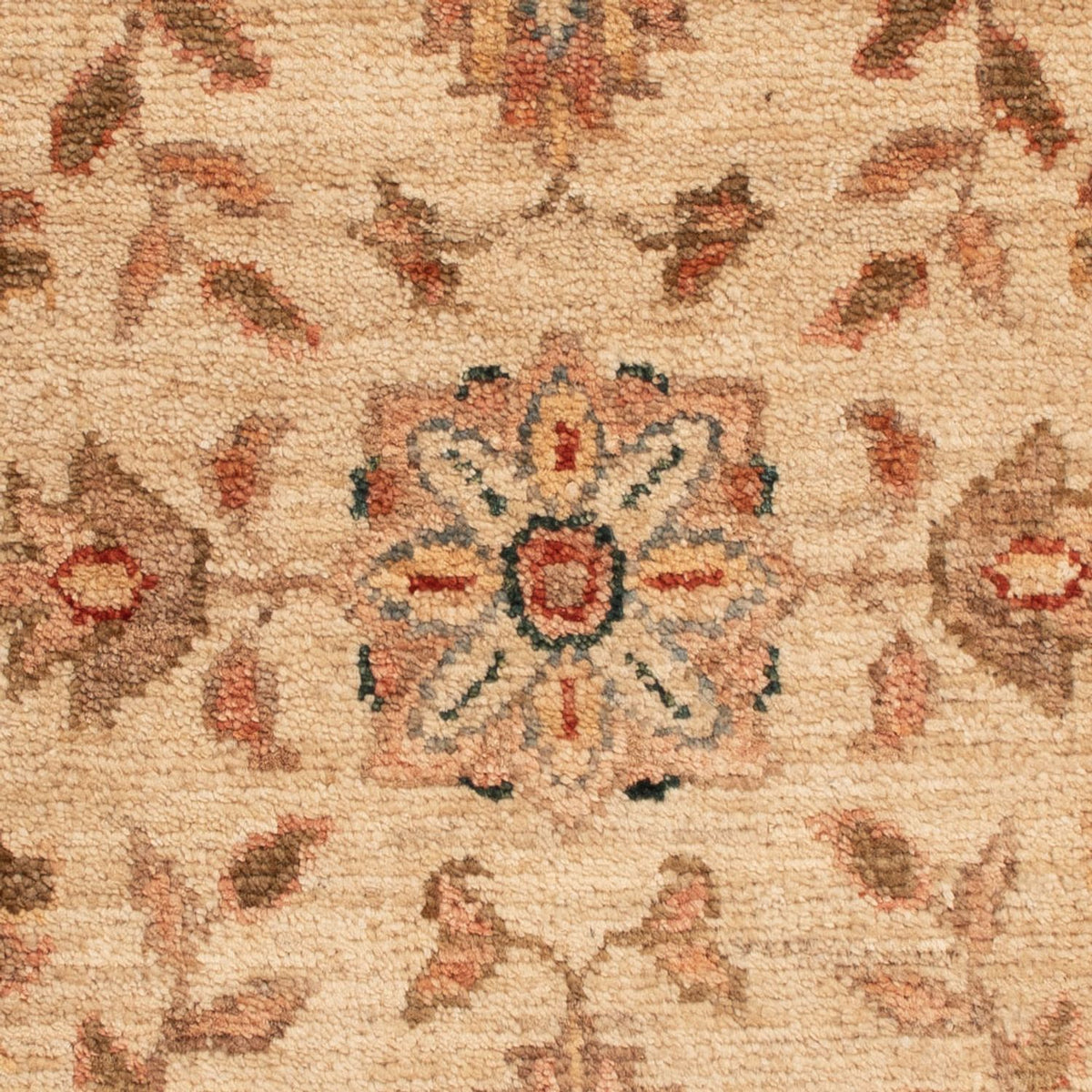 Tappeto Ziegler - 71 x 50 cm - beige