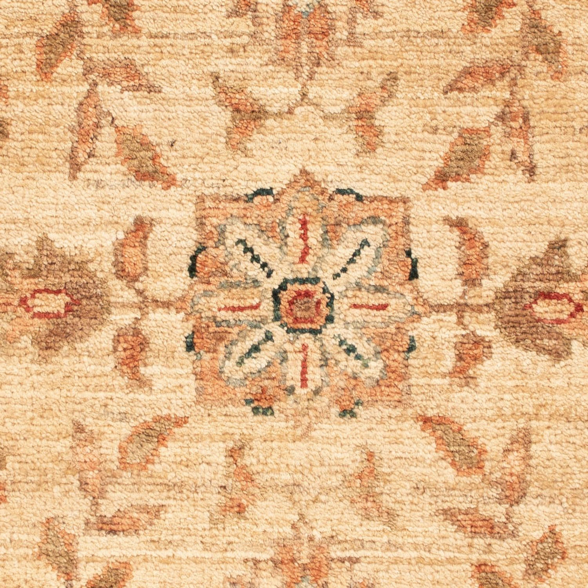 Tappeto Ziegler - 69 x 50 cm - beige