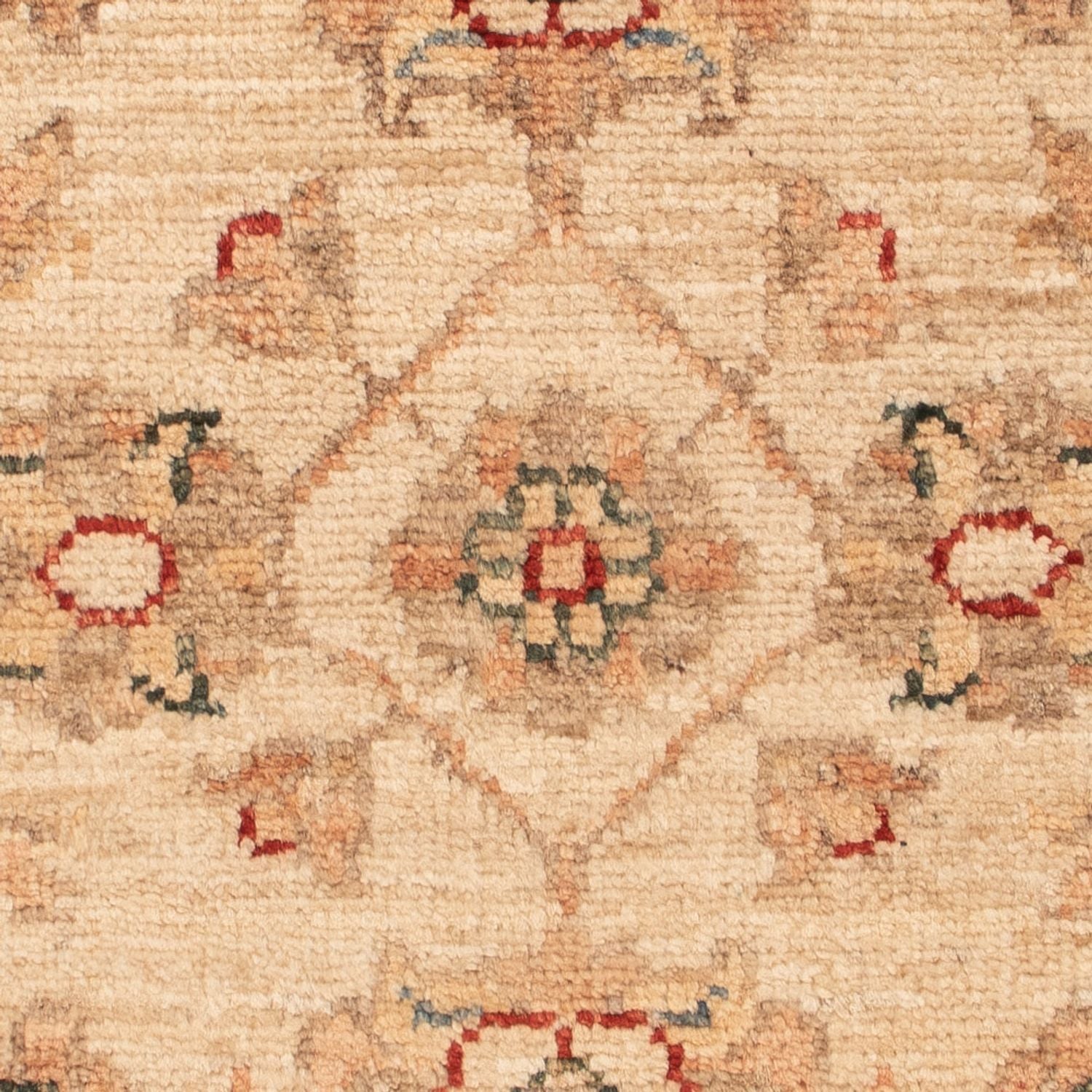 Tappeto Ziegler - 66 x 47 cm - beige
