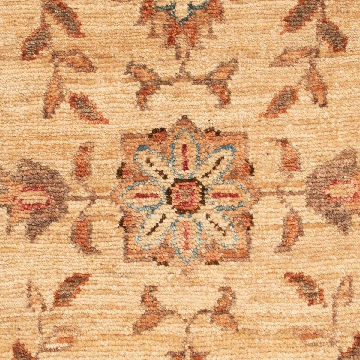 Tappeto Ziegler - 67 x 51 cm - beige