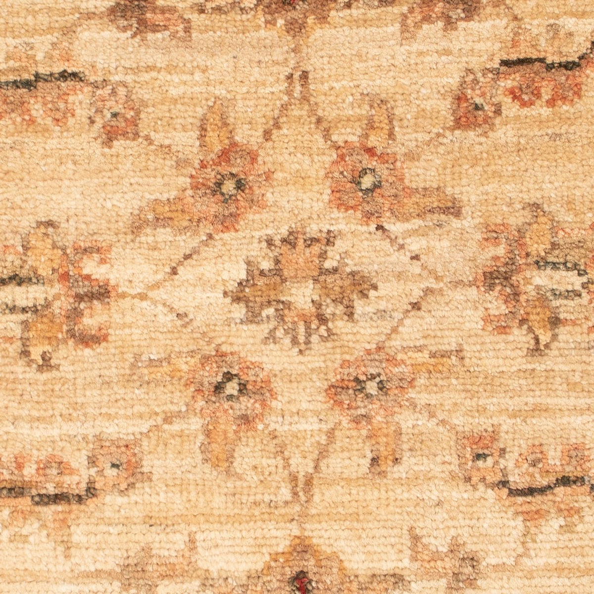 Tappeto Ziegler - 65 x 49 cm - beige