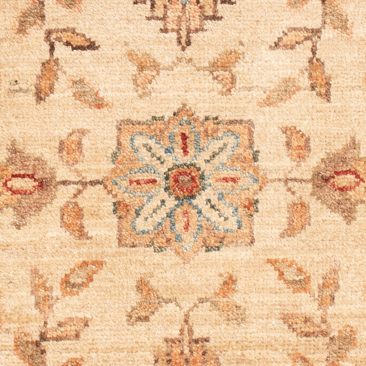 Tappeto Ziegler - 70 x 49 cm - beige