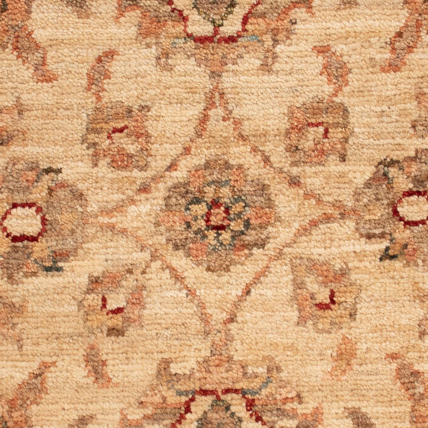 Tappeto Ziegler - 68 x 49 cm - beige