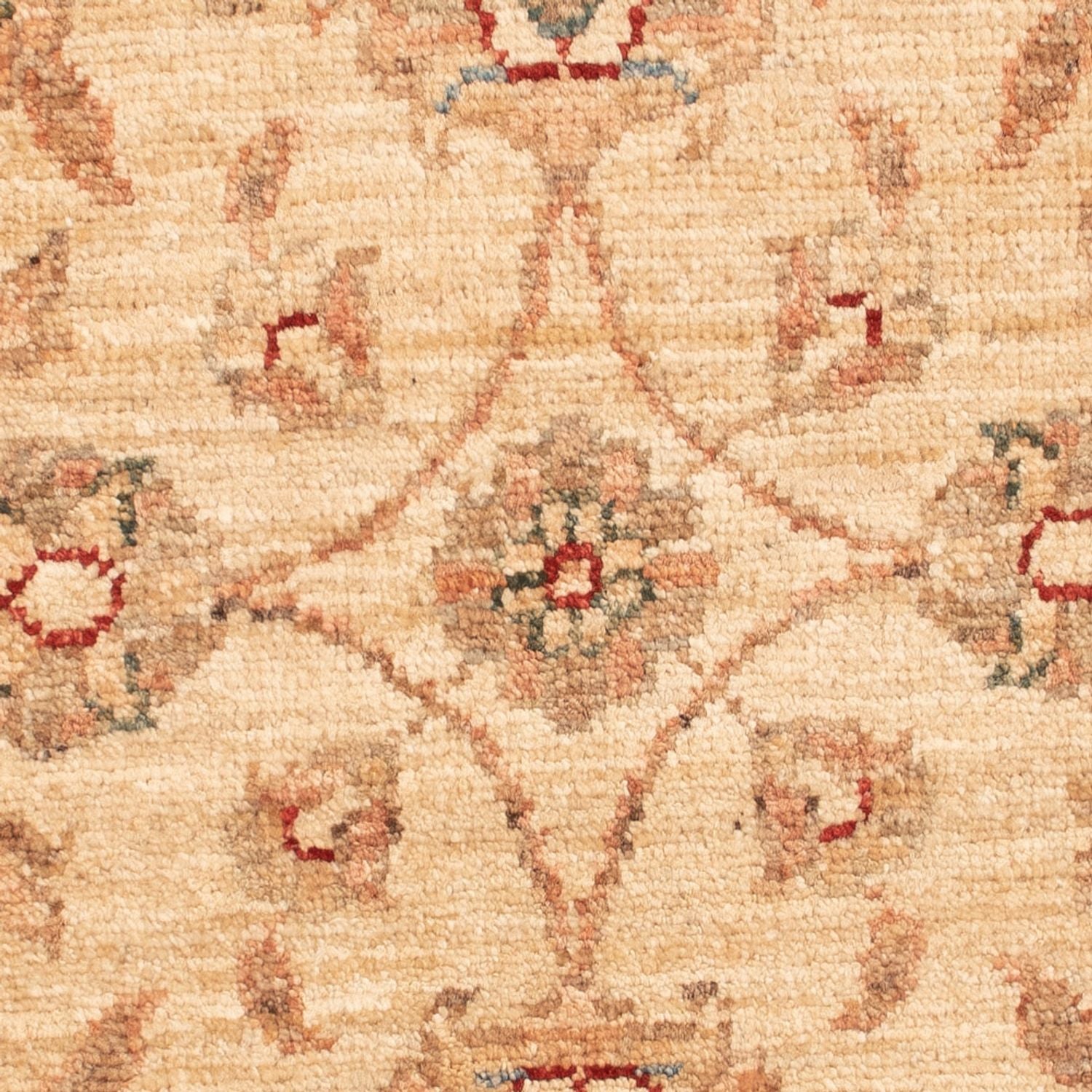 Tappeto Ziegler - 75 x 54 cm - beige