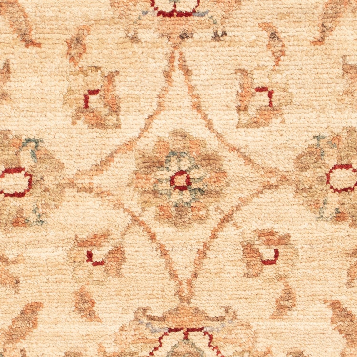 Tappeto Ziegler - 65 x 49 cm - beige