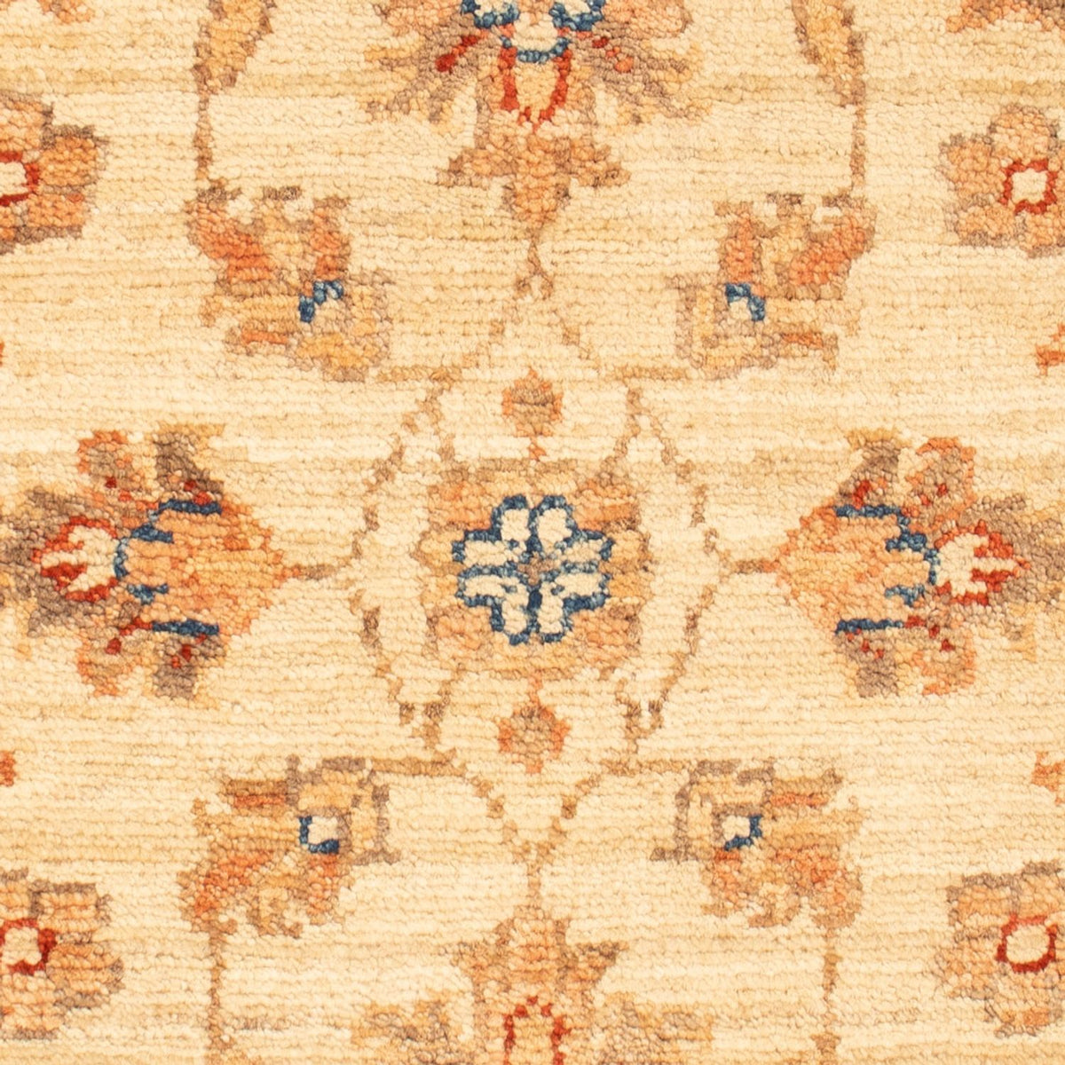 Tappeto Ziegler - 67 x 53 cm - beige