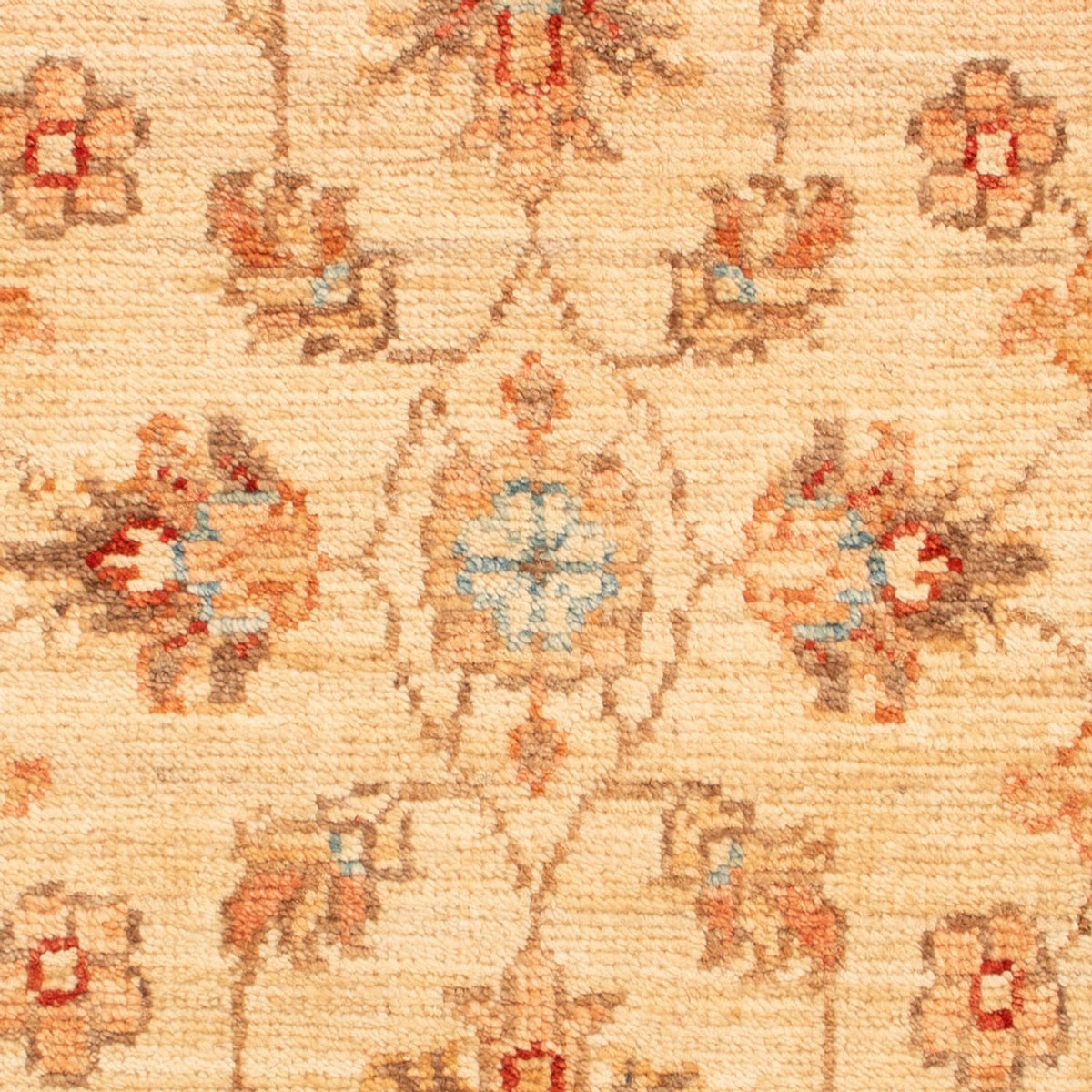 Tappeto Ziegler - 75 x 51 cm - beige