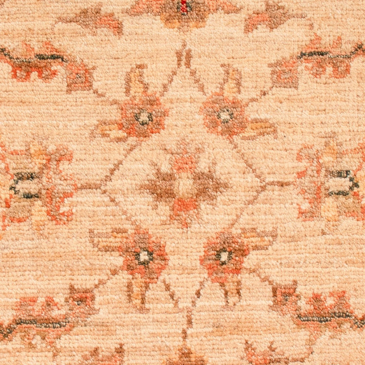 Tappeto Ziegler - 71 x 55 cm - beige