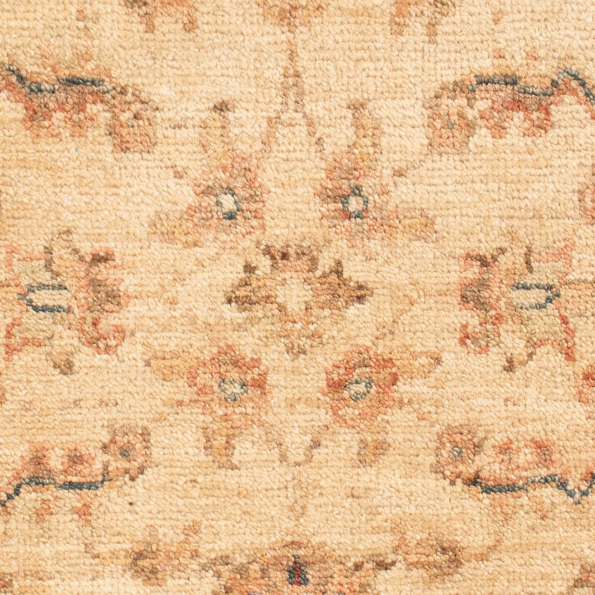 Tappeto Ziegler - 69 x 50 cm - beige