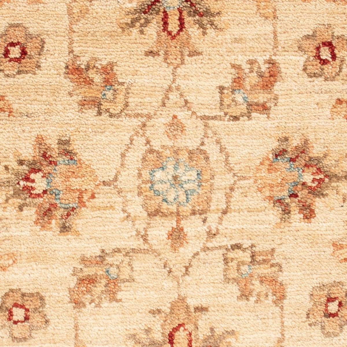 Tappeto Ziegler - 68 x 50 cm - beige