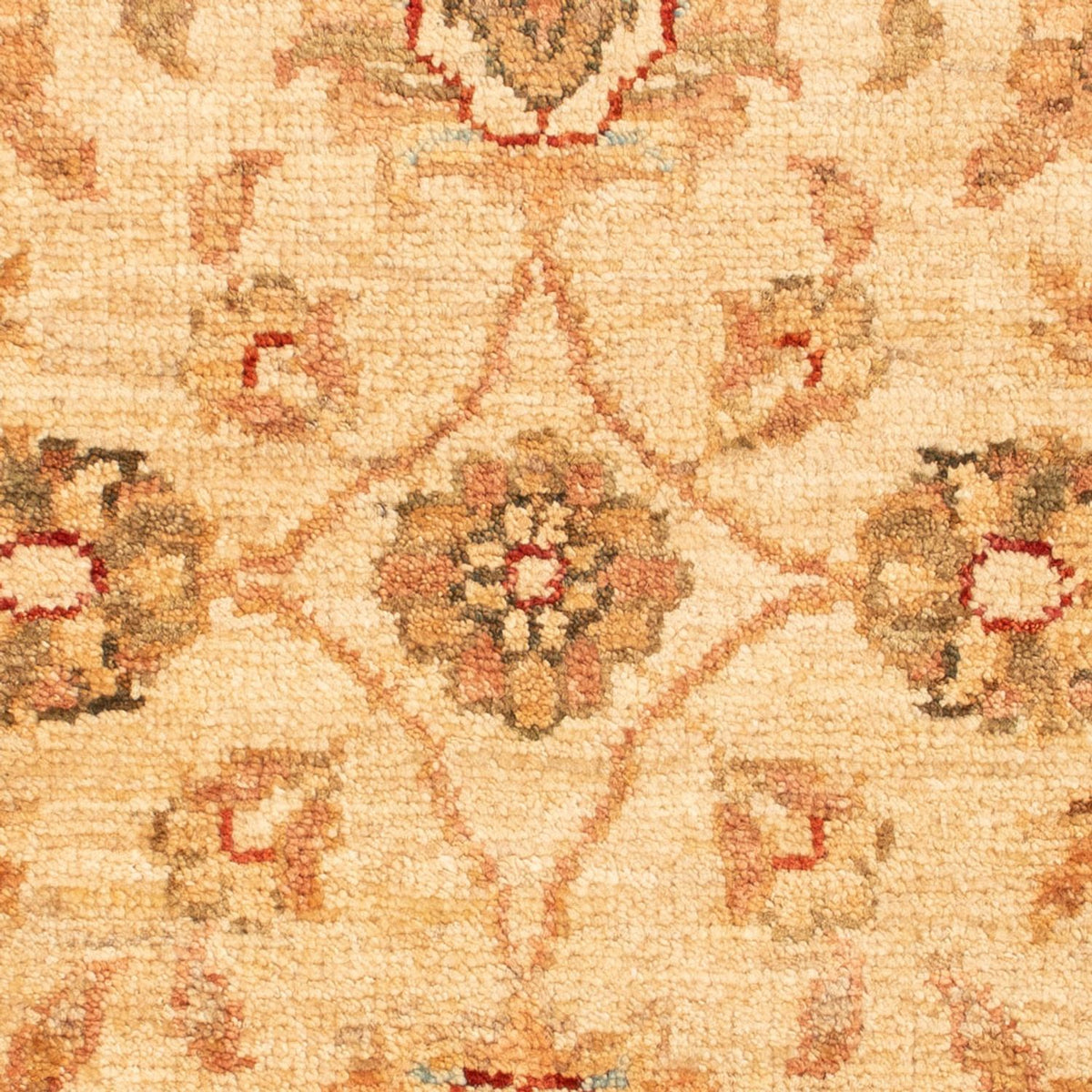 Tappeto Ziegler - 76 x 55 cm - beige