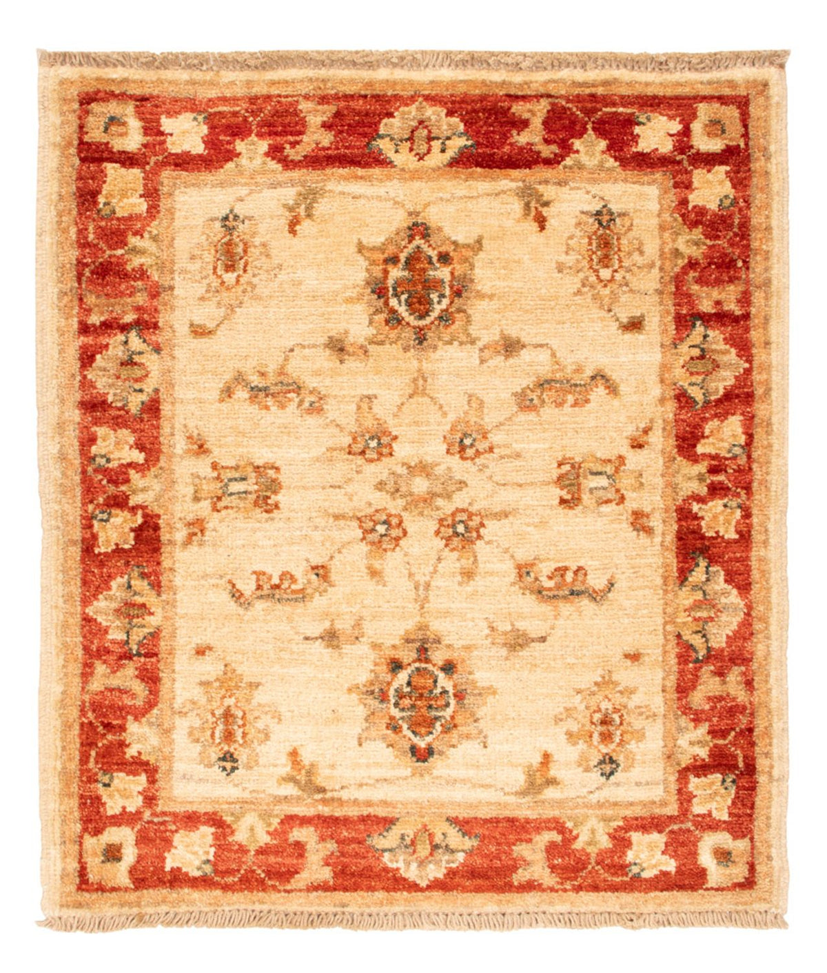 Tappeto Ziegler - 69 x 56 cm - beige