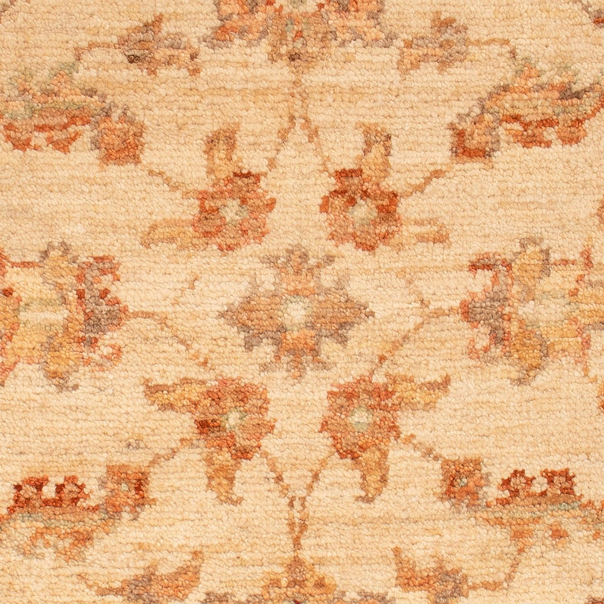 Tappeto Ziegler - 70 x 52 cm - beige