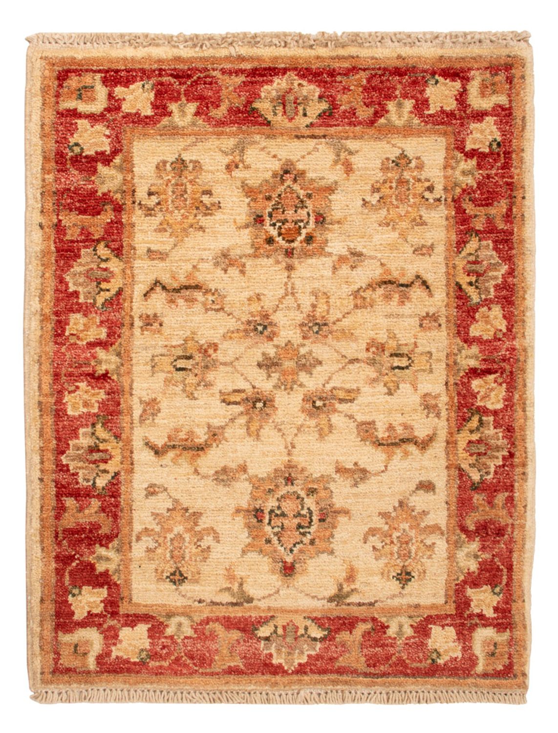 Tappeto Ziegler - 65 x 50 cm - beige