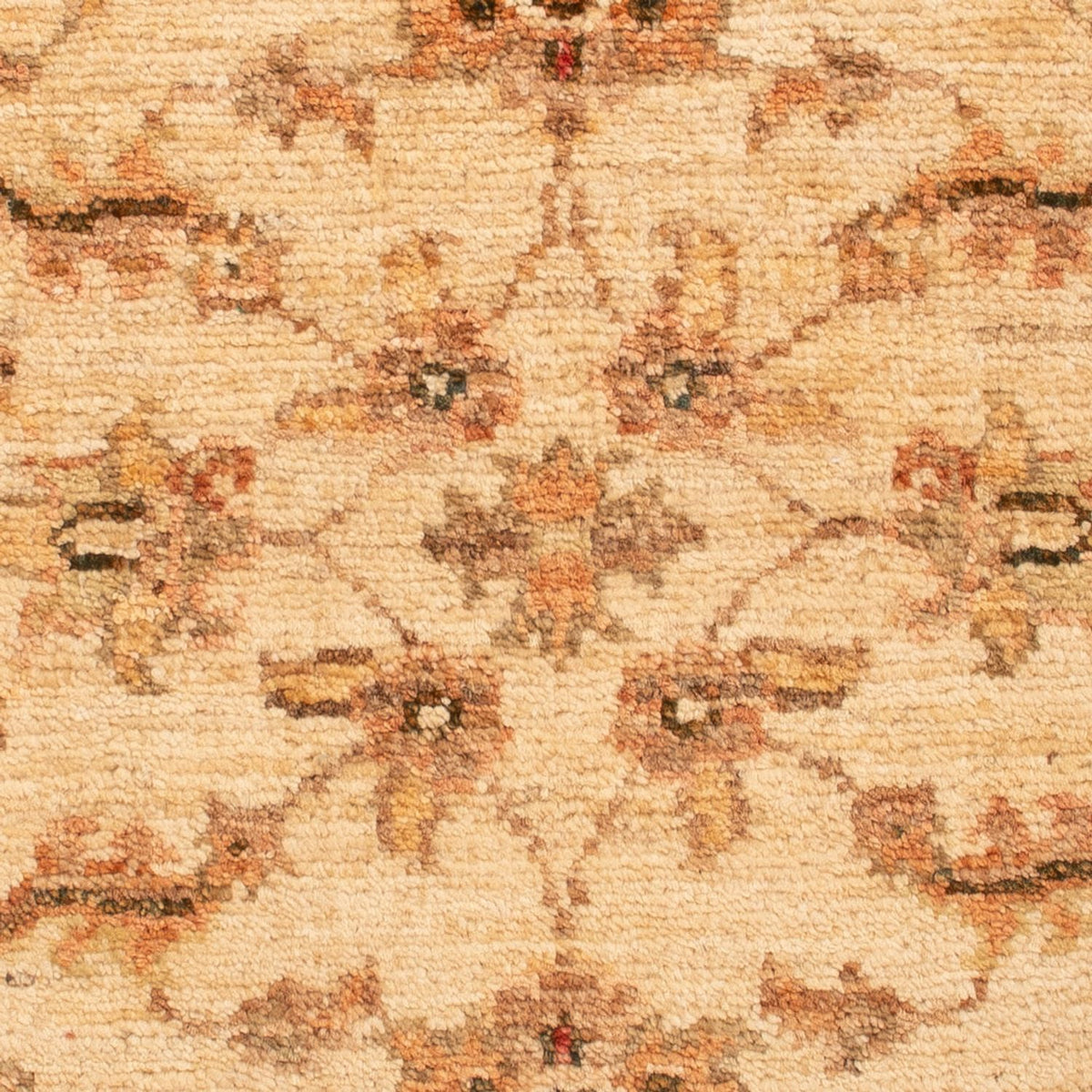 Tappeto Ziegler - 65 x 50 cm - beige