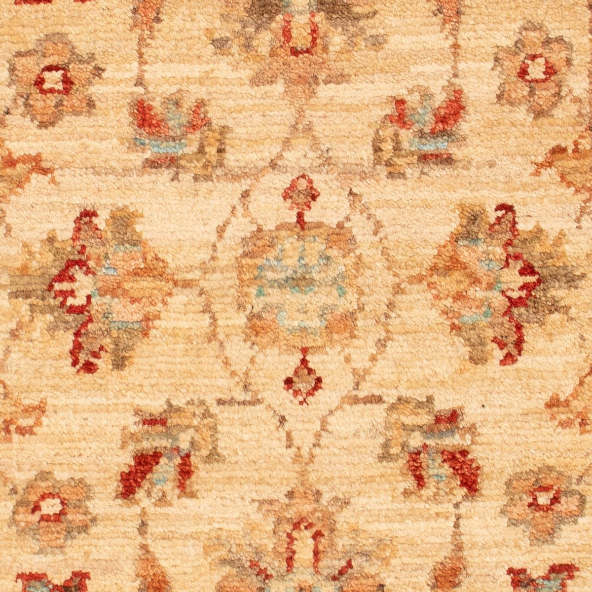 Tappeto Ziegler - 69 x 51 cm - beige