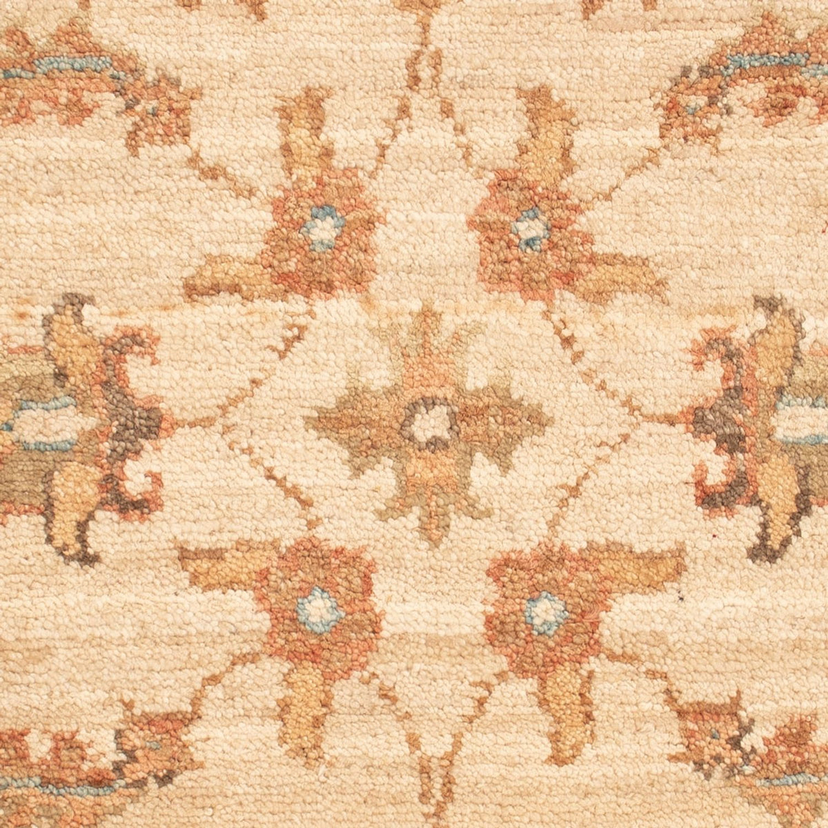 Tappeto Ziegler - 65 x 53 cm - beige