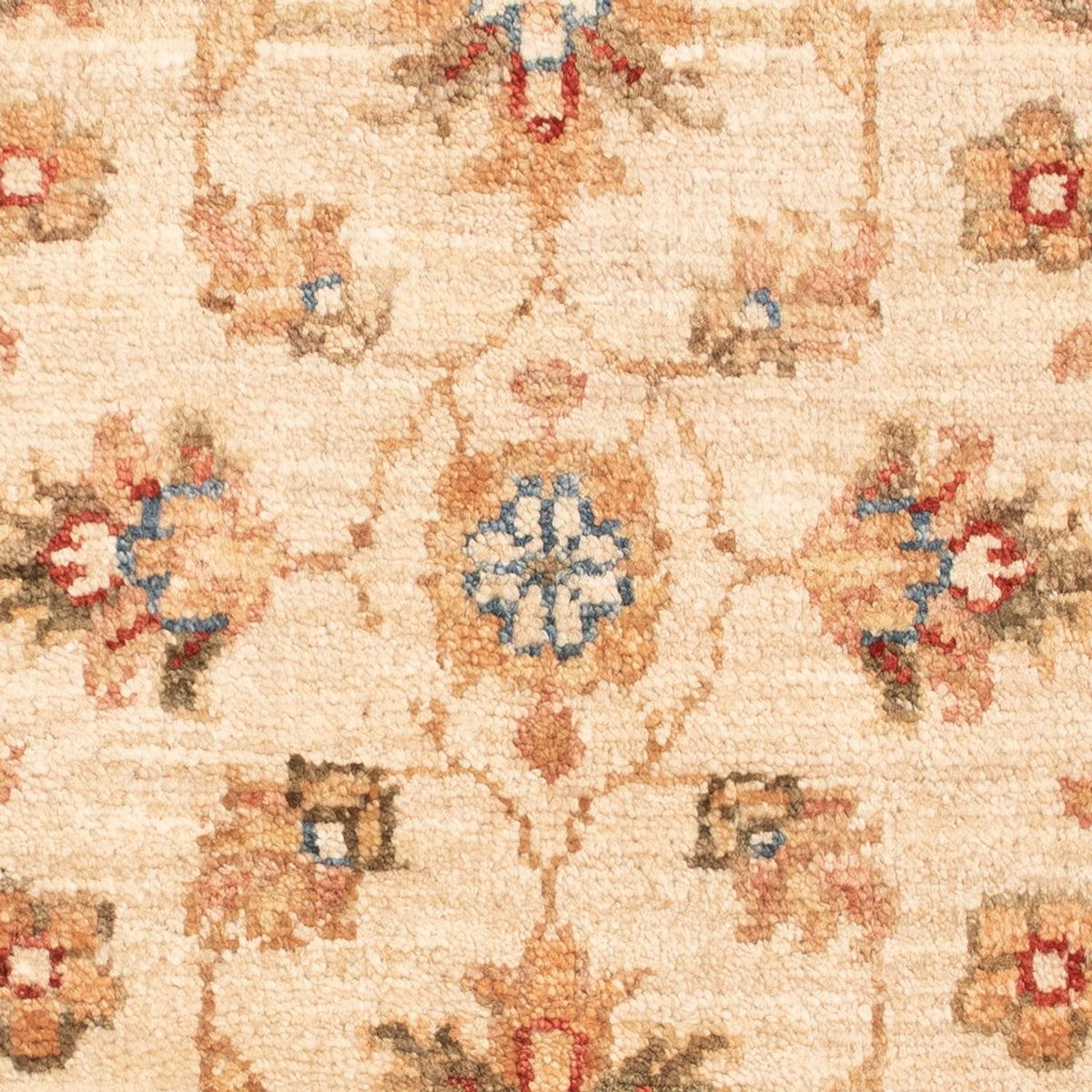 Tappeto Ziegler - 70 x 53 cm - beige