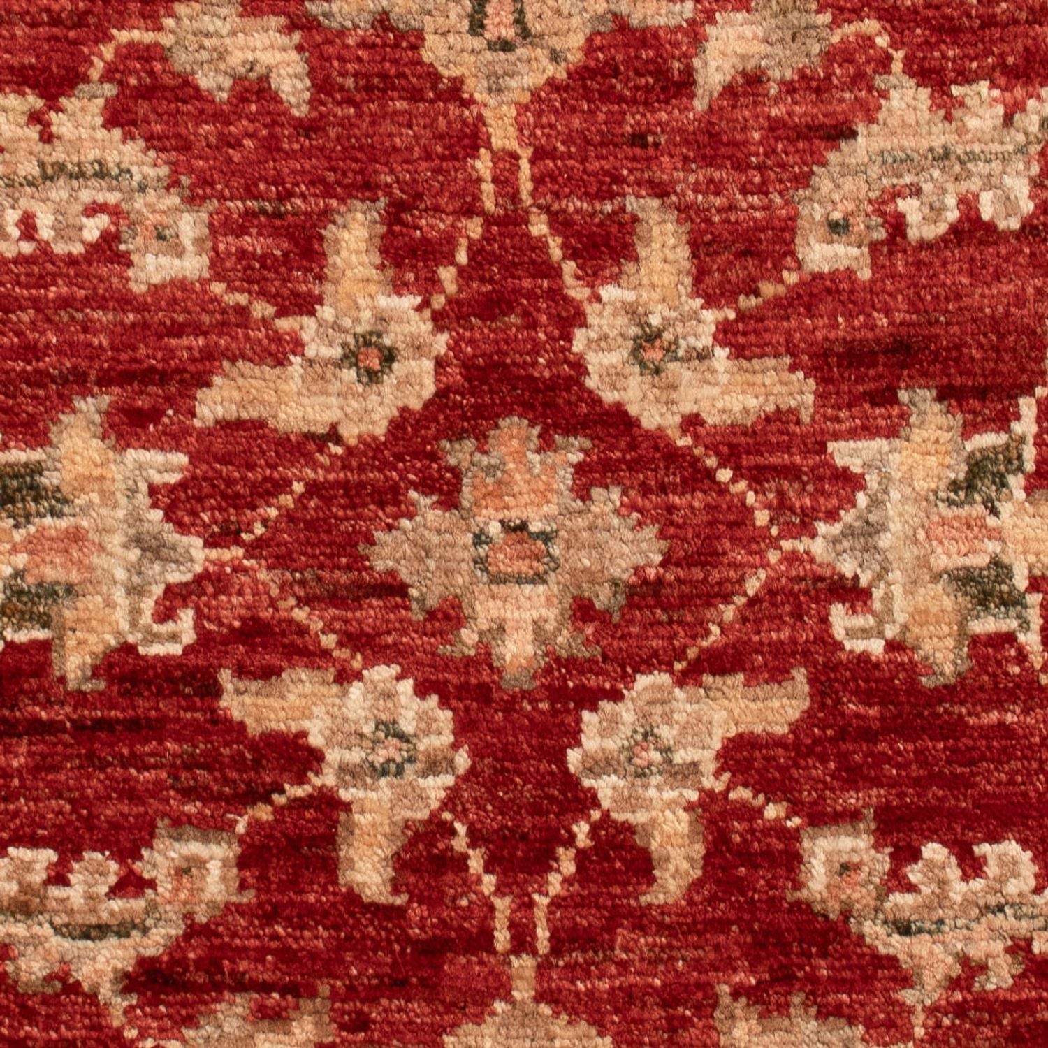 Tappeto Ziegler - 73 x 55 cm - rosso