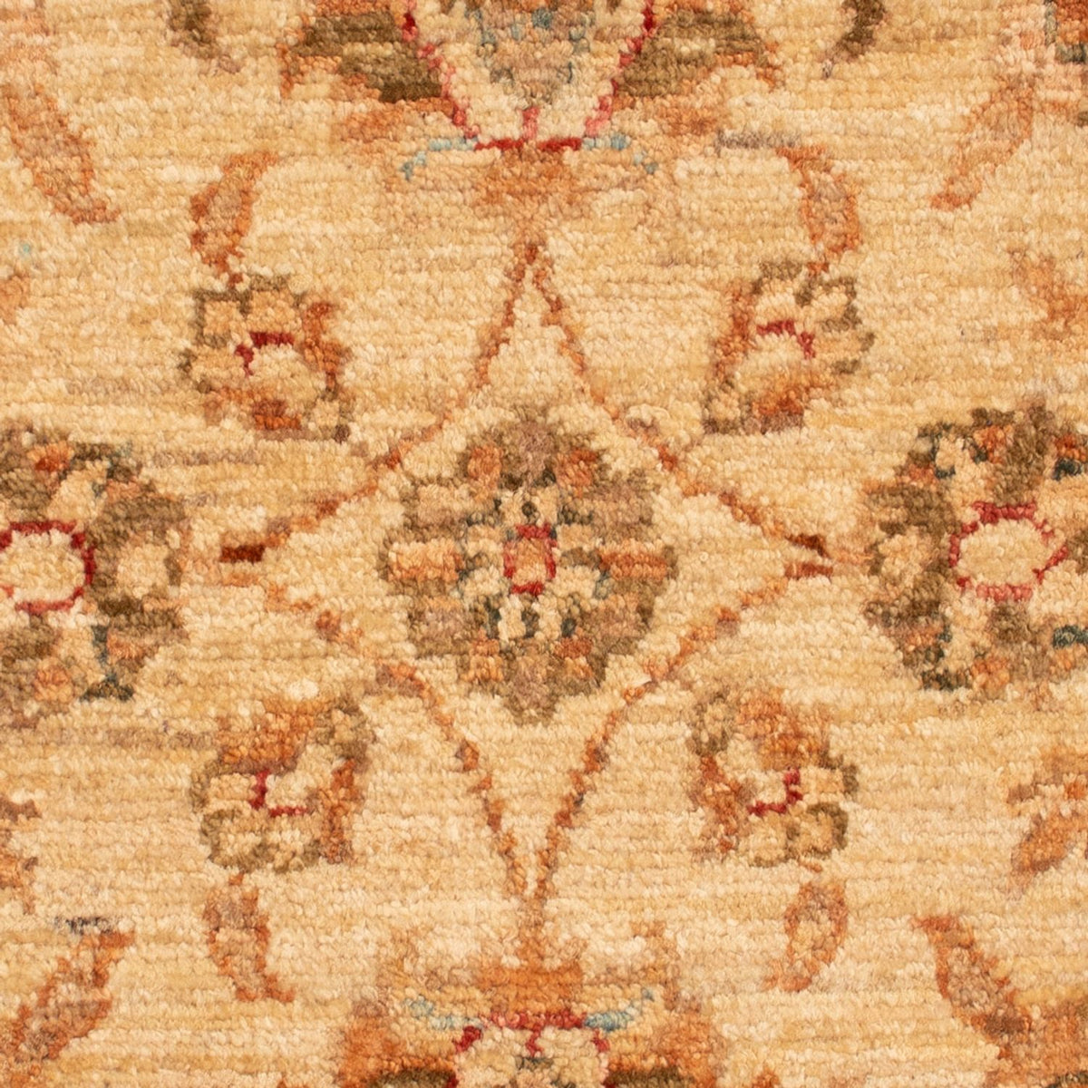 Tappeto Ziegler - 72 x 51 cm - beige chiaro