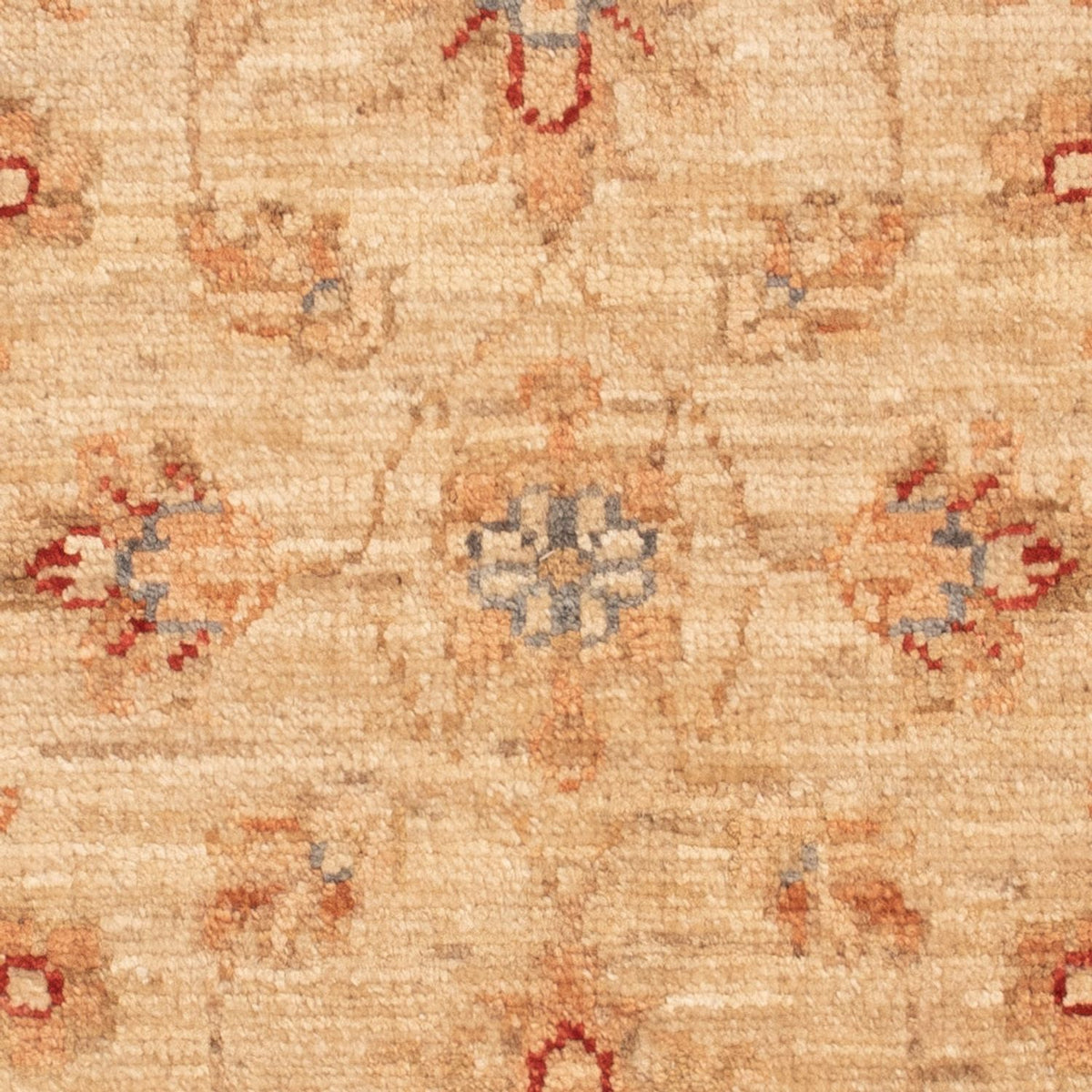 Tappeto Ziegler - 70 x 55 cm - beige