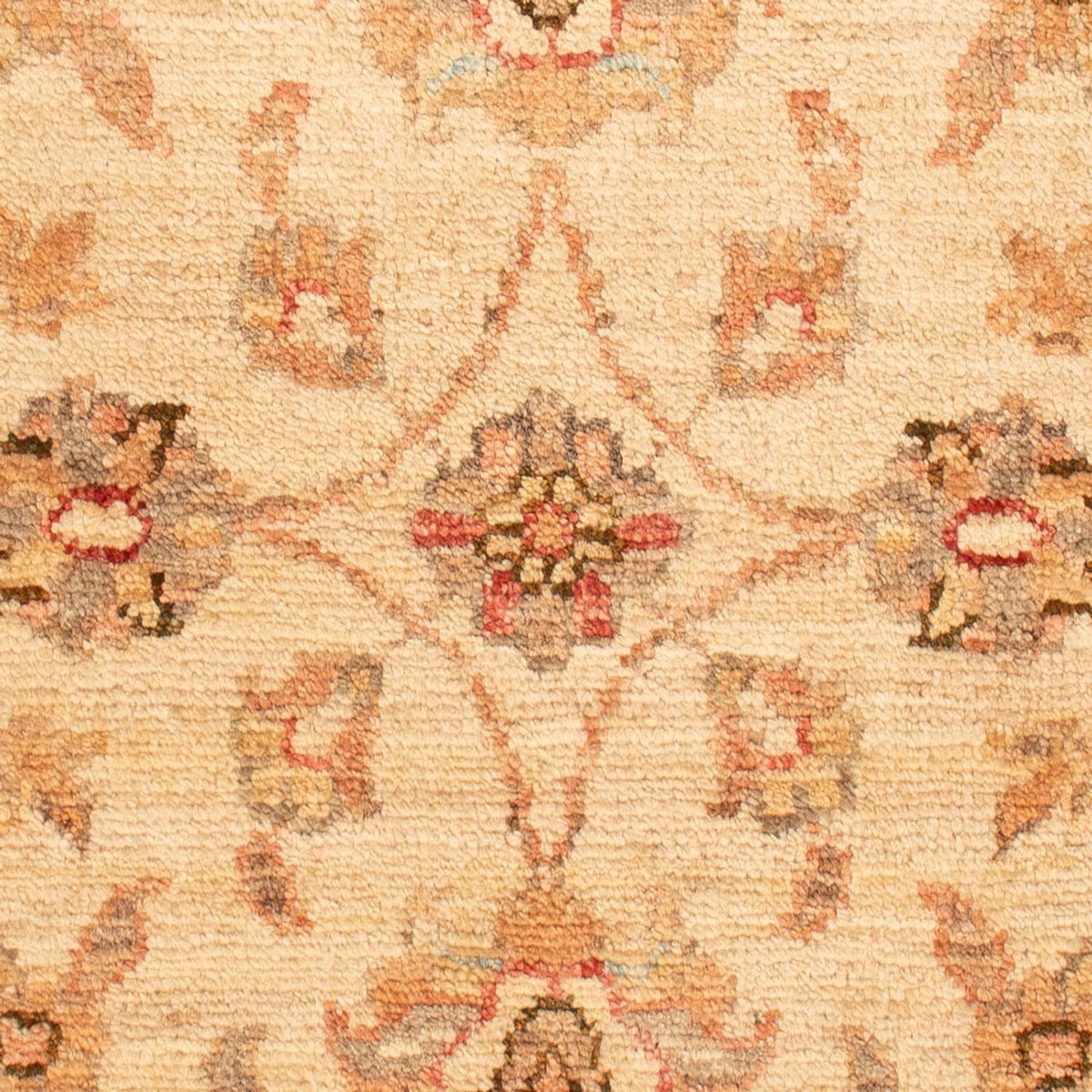 Tappeto Ziegler - 79 x 56 cm - beige