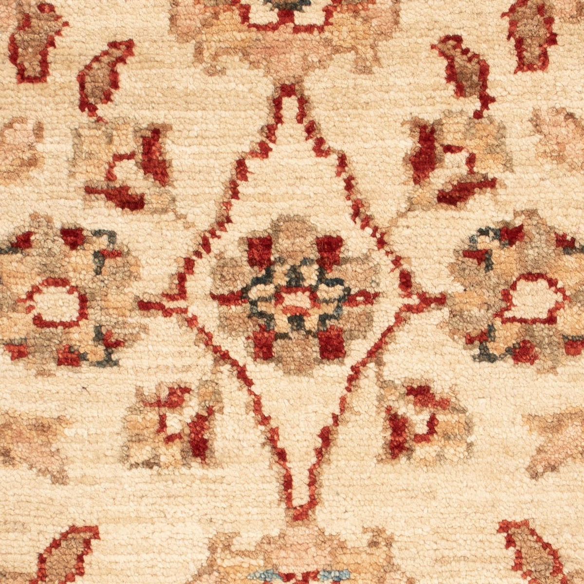 Tappeto Ziegler - 68 x 50 cm - beige