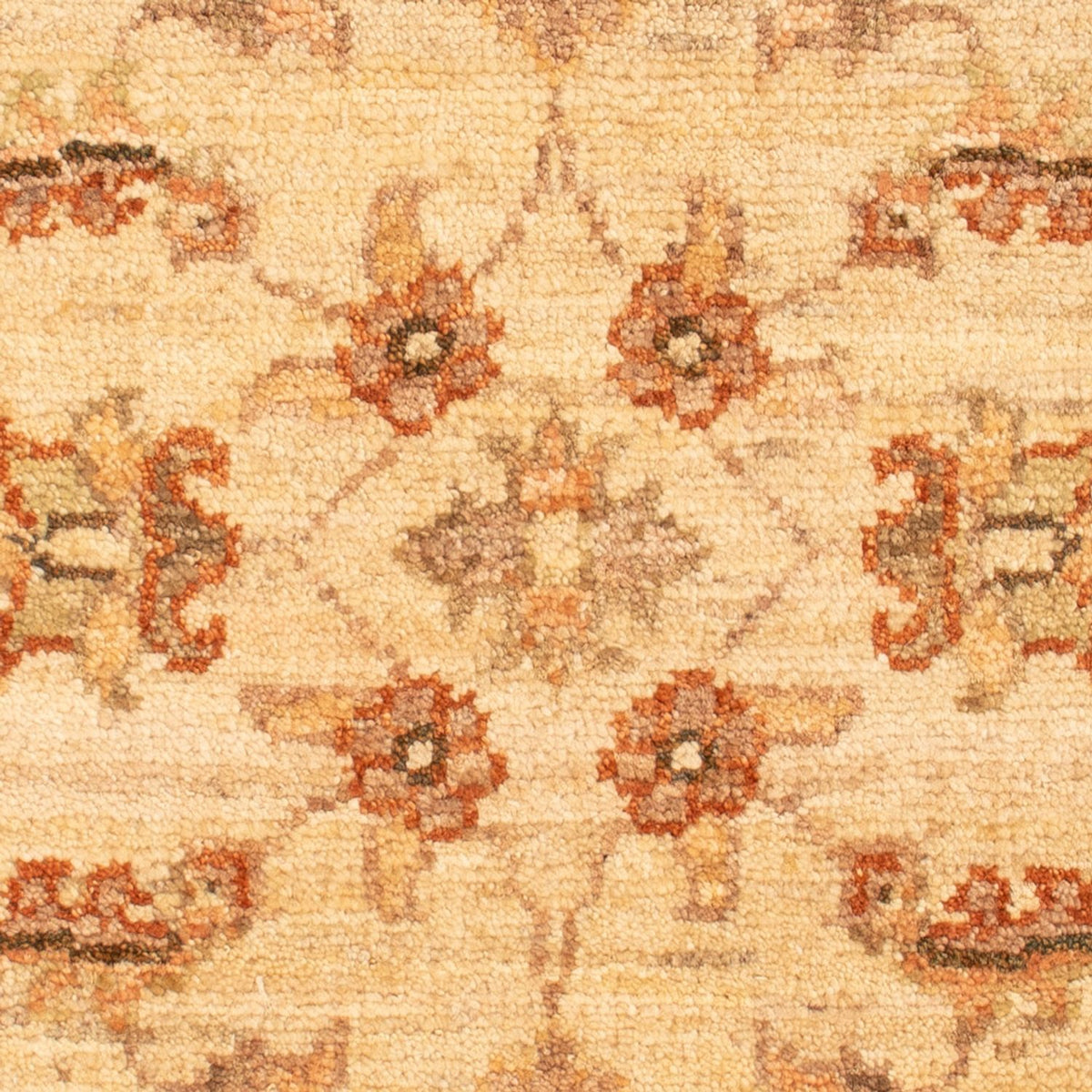Tappeto Ziegler - 70 x 52 cm - beige