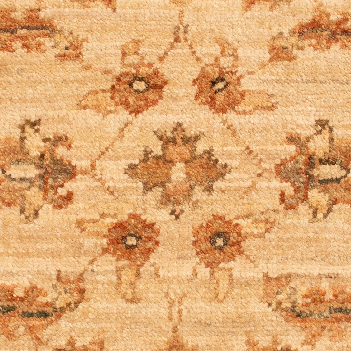 Tappeto Ziegler - 68 x 51 cm - beige