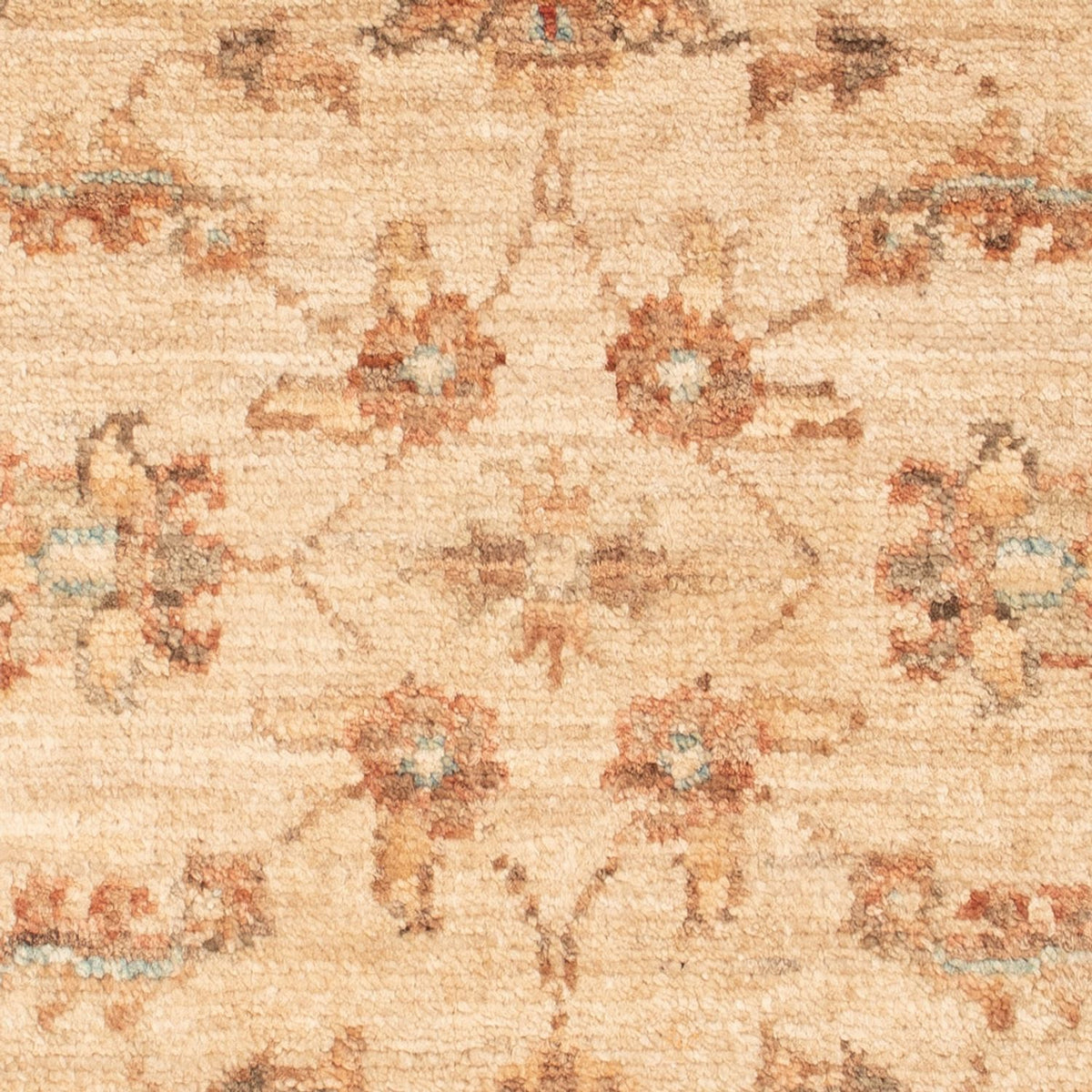 Tappeto Ziegler - 72 x 50 cm - beige