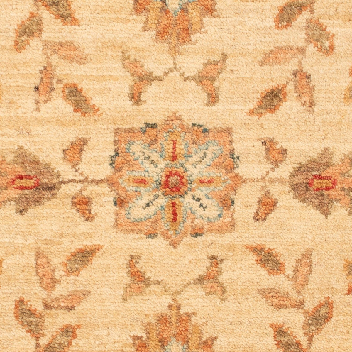 Tappeto Ziegler - 73 x 53 cm - beige