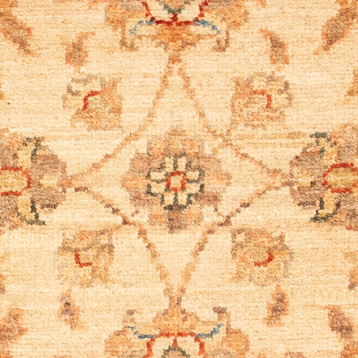 Tappeto Ziegler - 69 x 50 cm - beige
