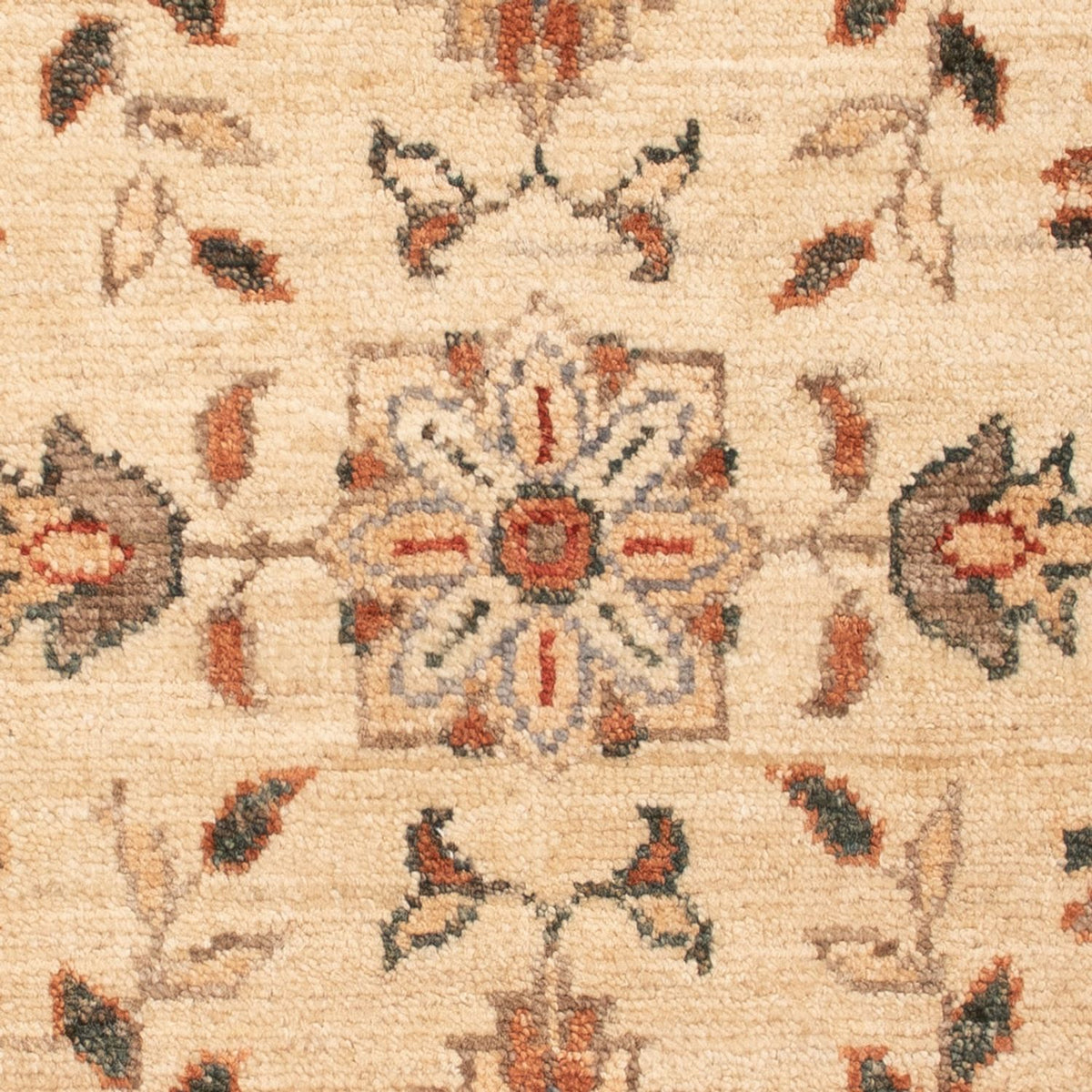 Tappeto Ziegler - 70 x 50 cm - beige