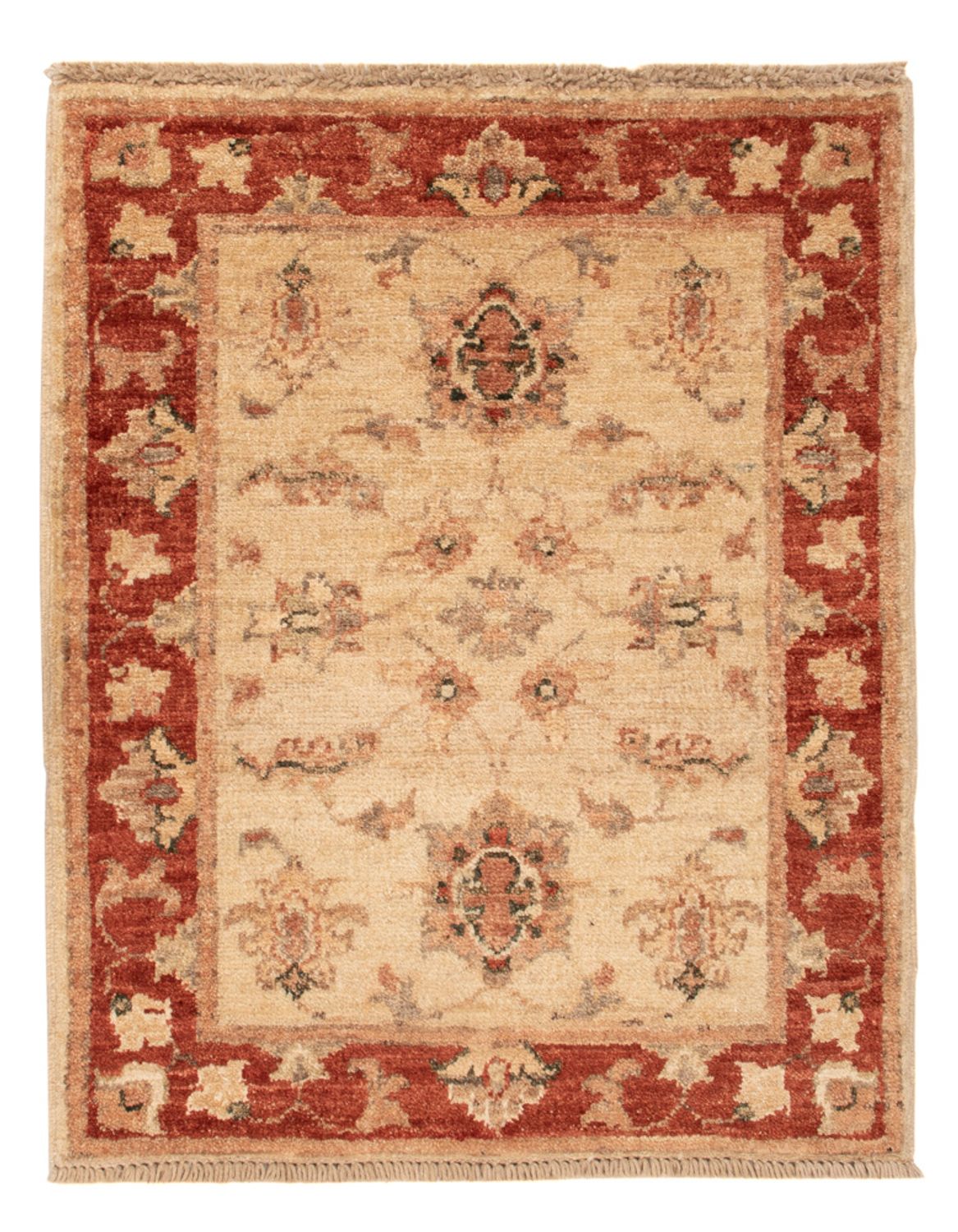 Tappeto Ziegler - 65 x 51 cm - beige