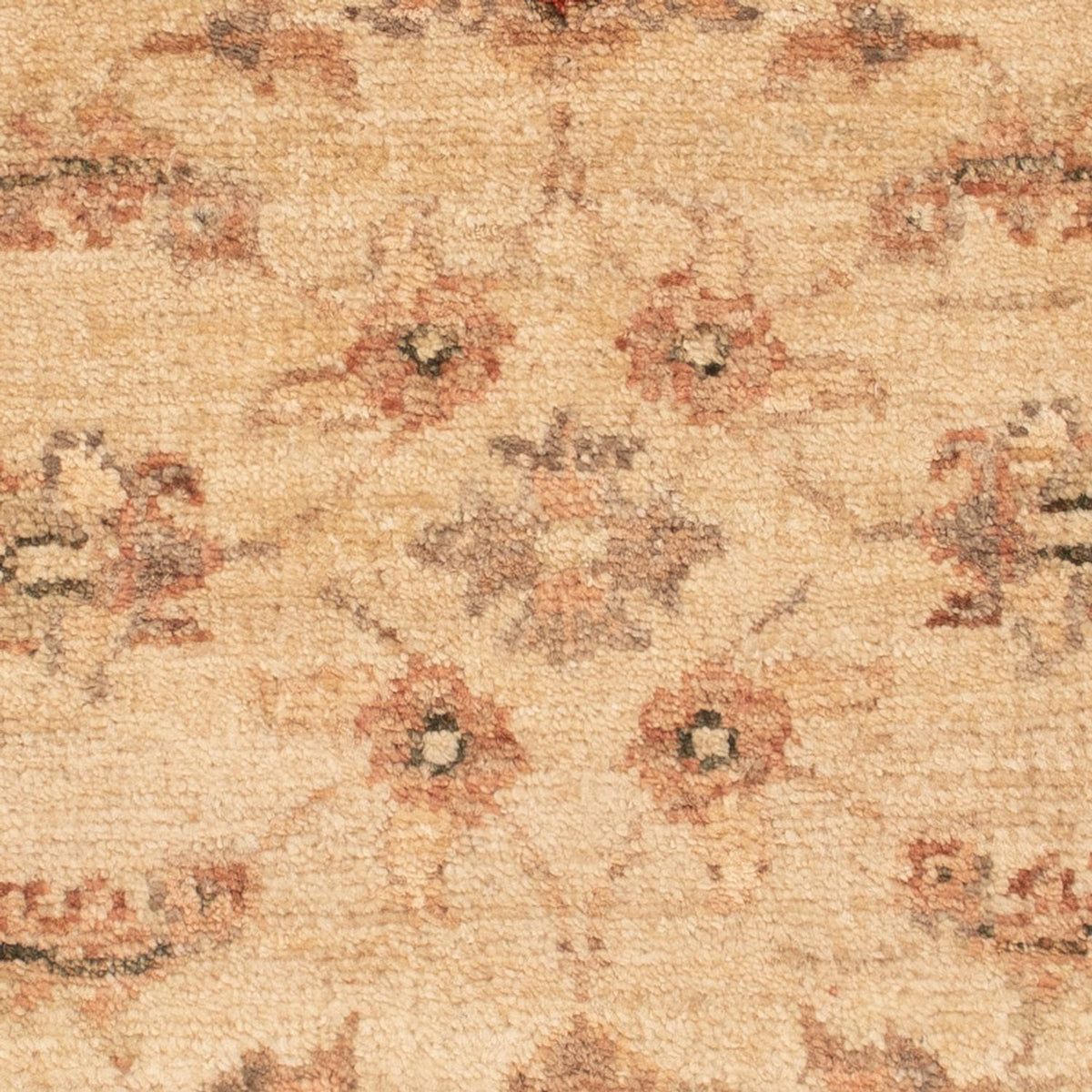 Tappeto Ziegler - 65 x 51 cm - beige