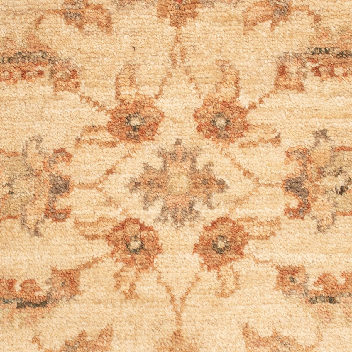 Tappeto Ziegler - 65 x 50 cm - beige