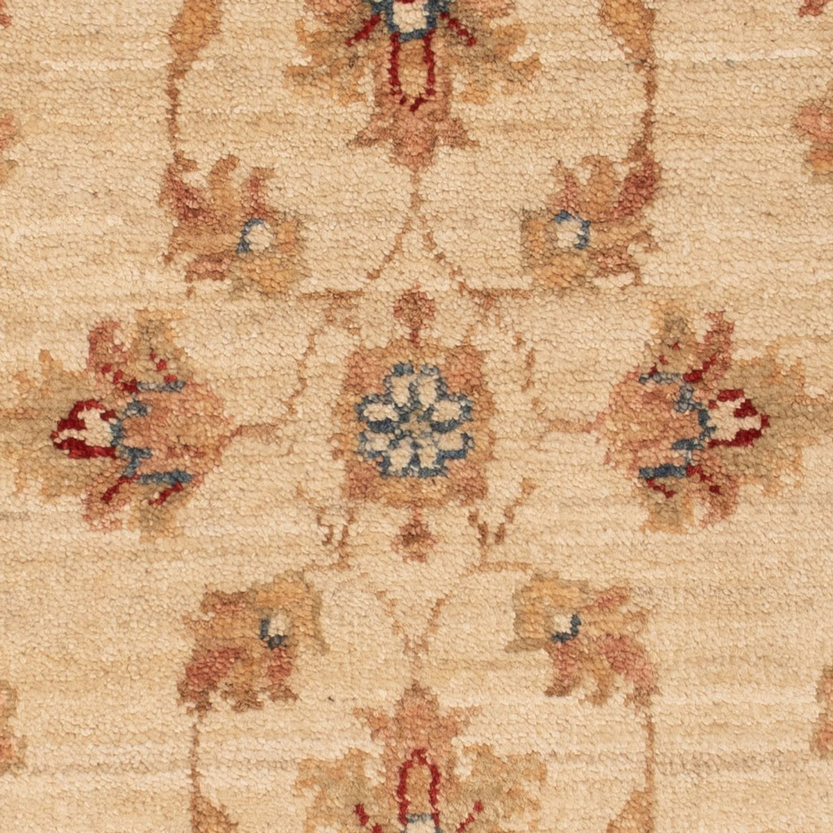 Tappeto Ziegler - 67 x 50 cm - beige