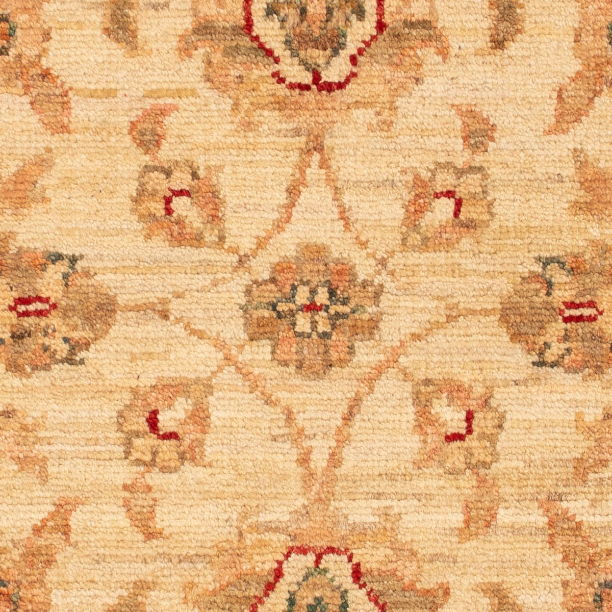 Tappeto Ziegler - 70 x 51 cm - beige