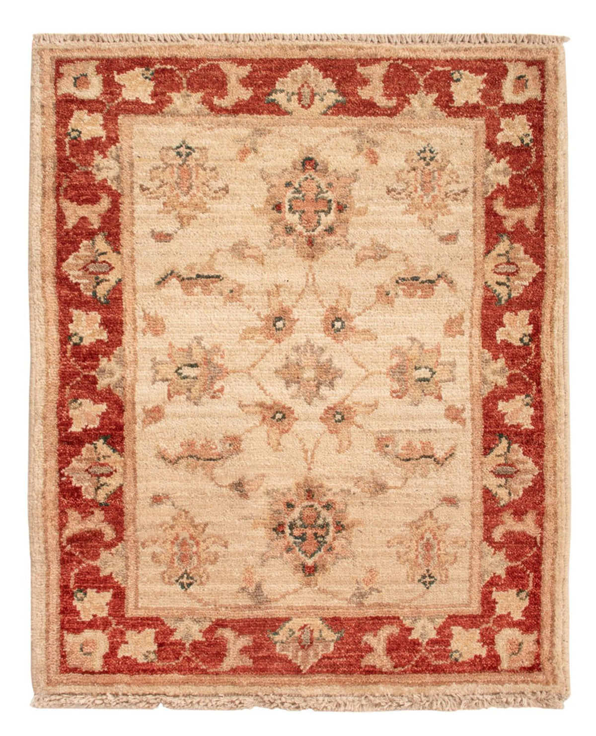 Tappeto Ziegler - 63 x 51 cm - beige