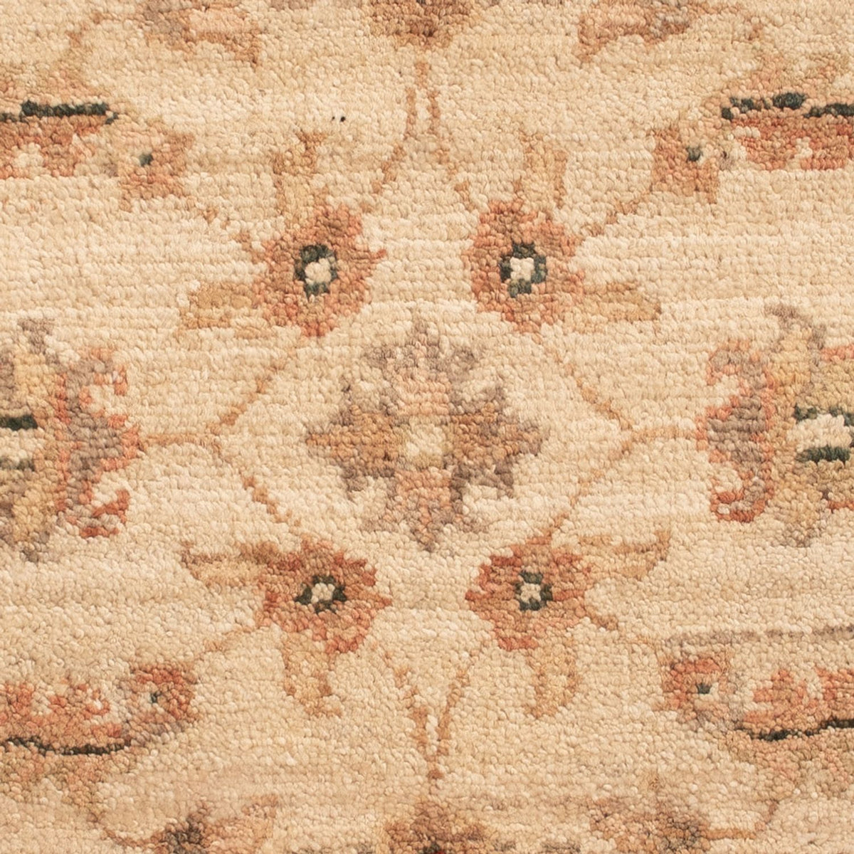 Tappeto Ziegler - 63 x 51 cm - beige