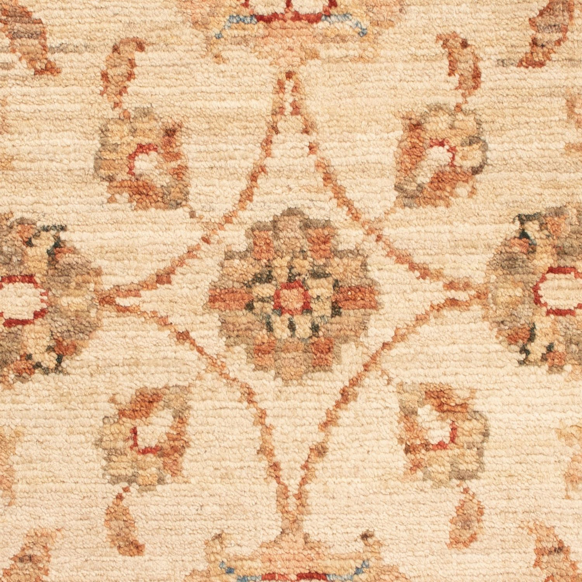 Tappeto Ziegler - 70 x 50 cm - beige