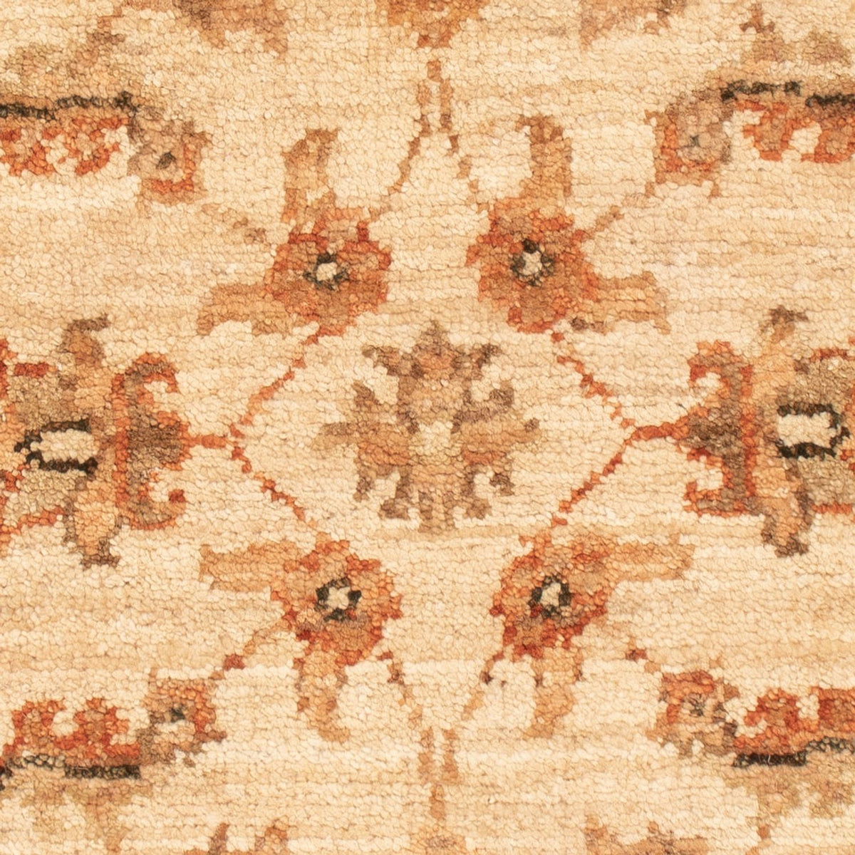 Tappeto Ziegler - 71 x 50 cm - beige