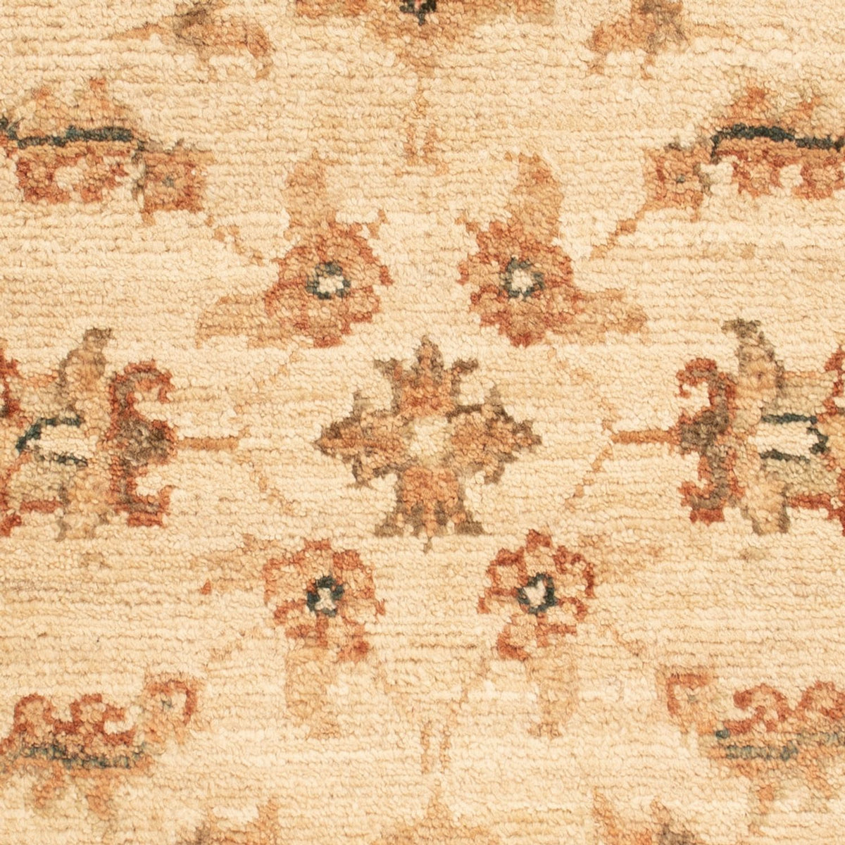 Tappeto Ziegler - 71 x 51 cm - beige