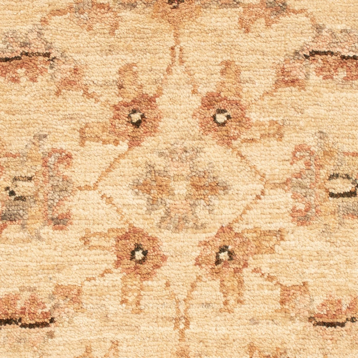 Tappeto Ziegler - 66 x 51 cm - beige