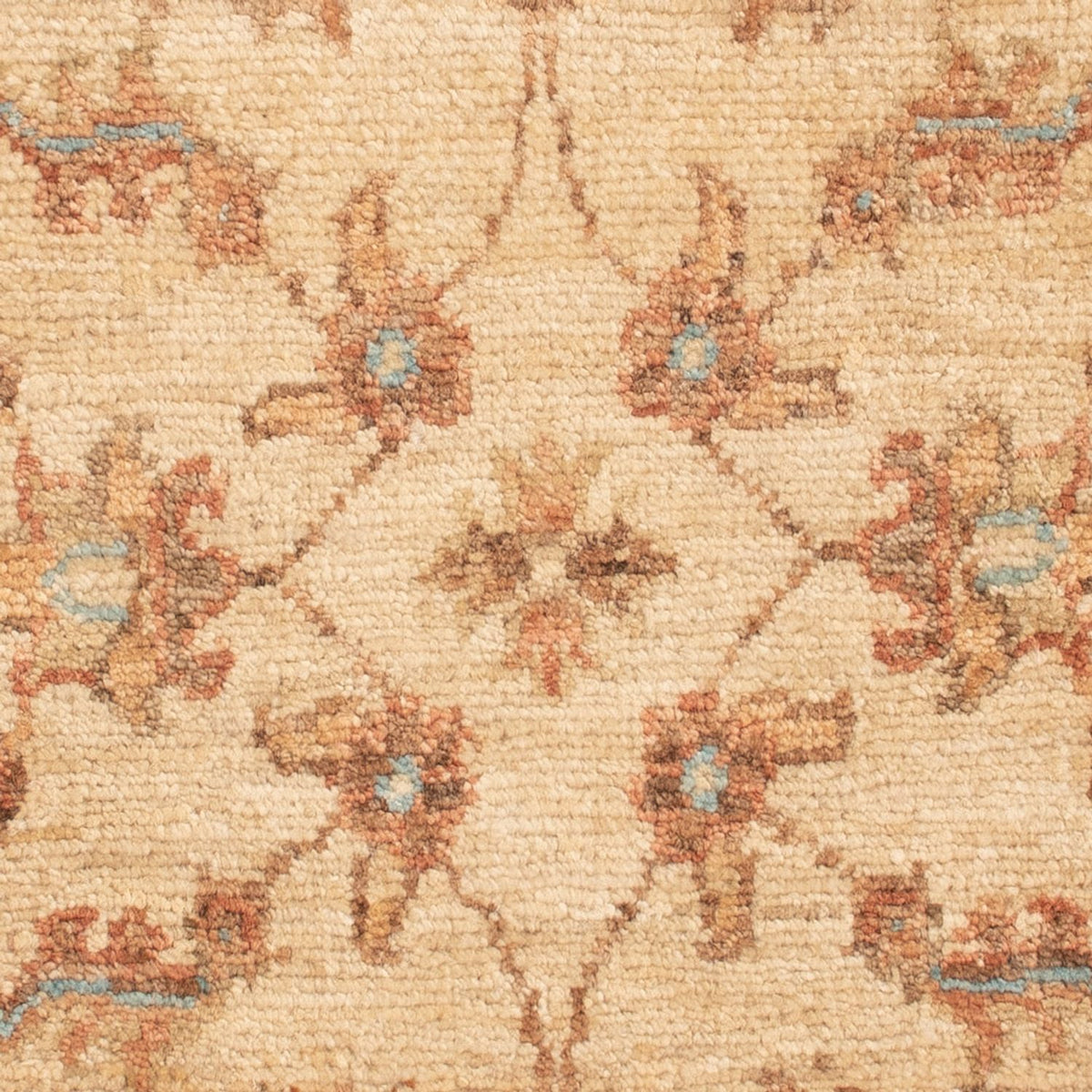 Tappeto Ziegler - 70 x 50 cm - beige