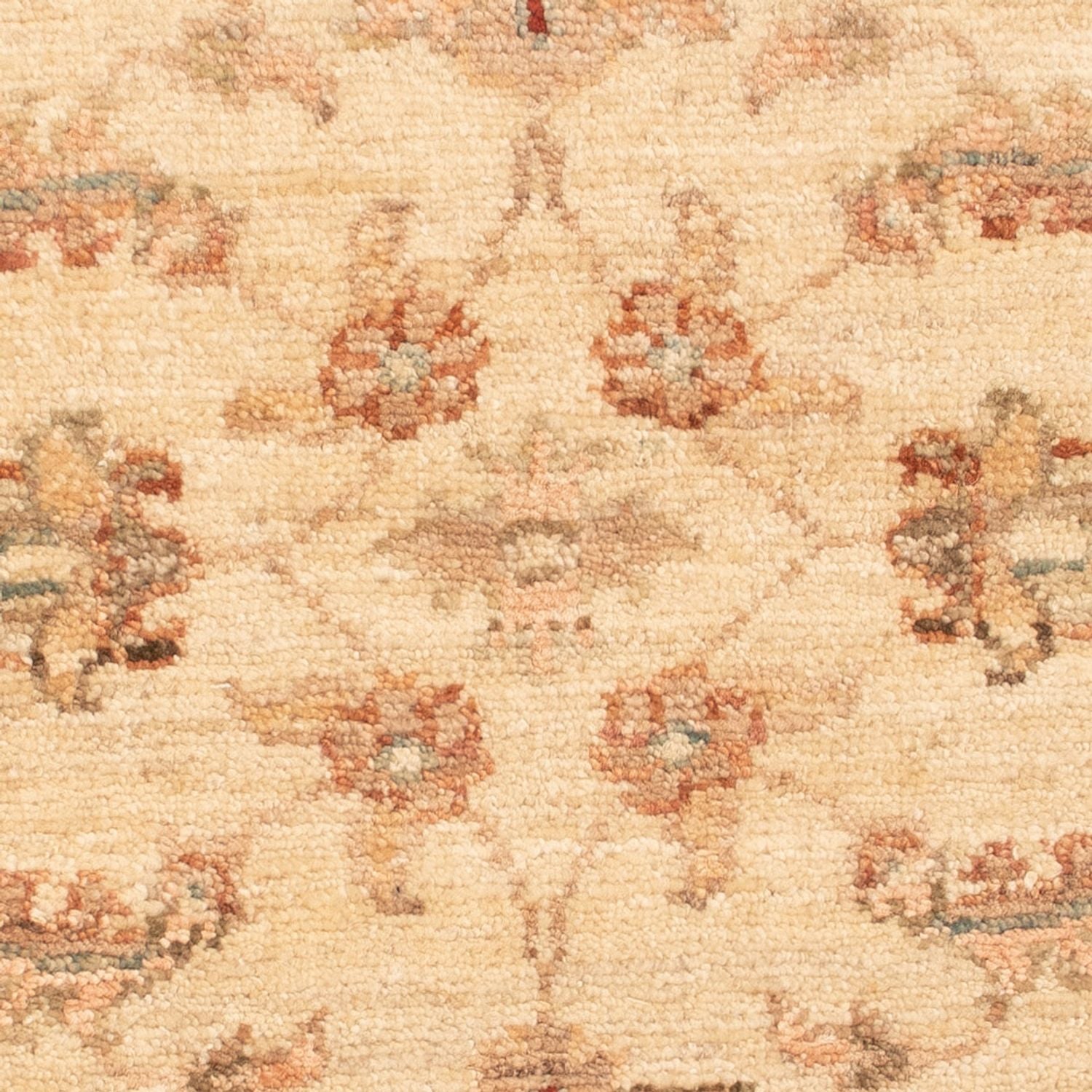 Tappeto Ziegler - 64 x 50 cm - beige